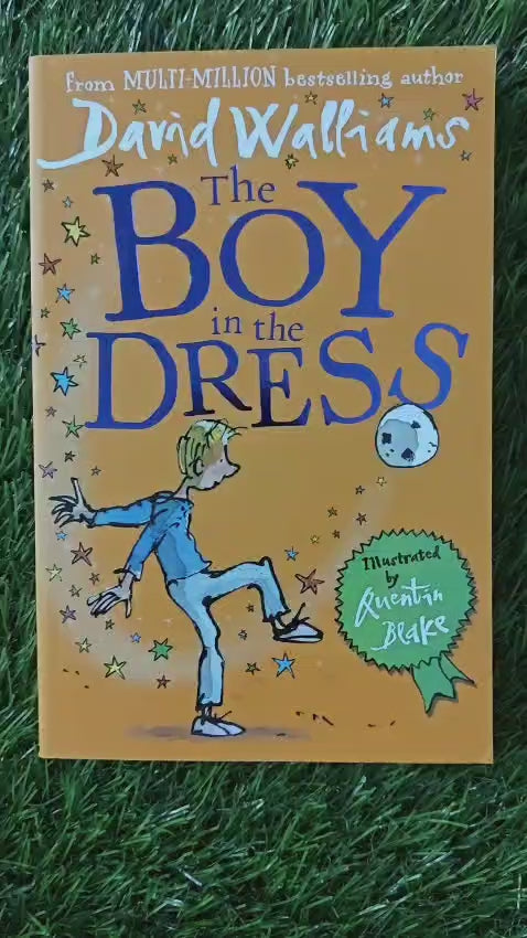 The Boy in the Dress