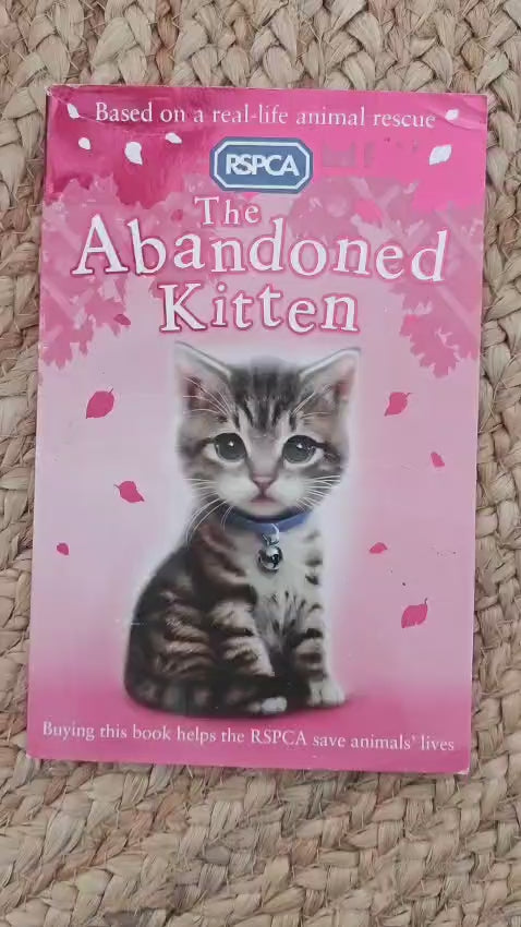 The Abandoned Kitten