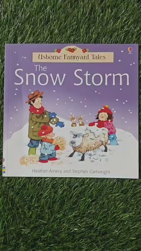 Usborne Farmyard Tales the Snow Storm