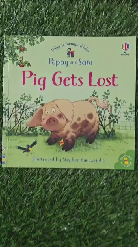 Usborne Farmyard Tales Poppy and Sam Pig Gets Lost