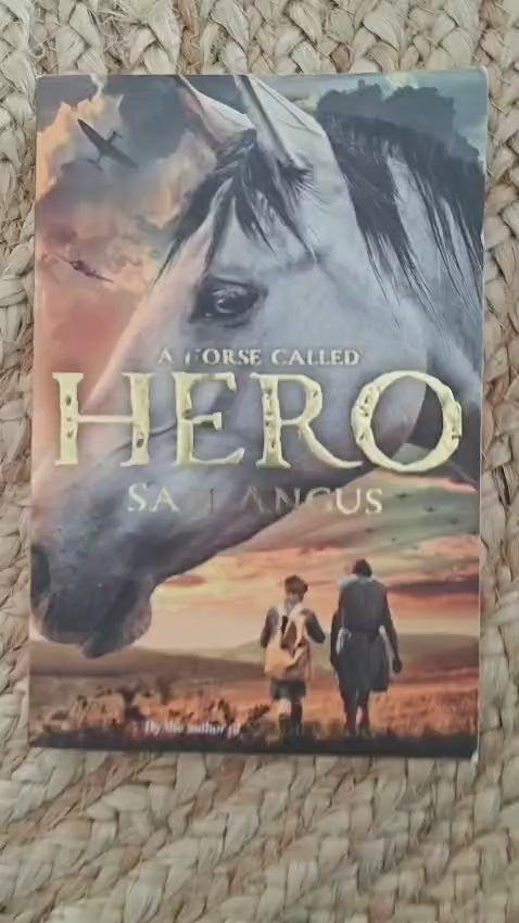 A Horse Called Hero