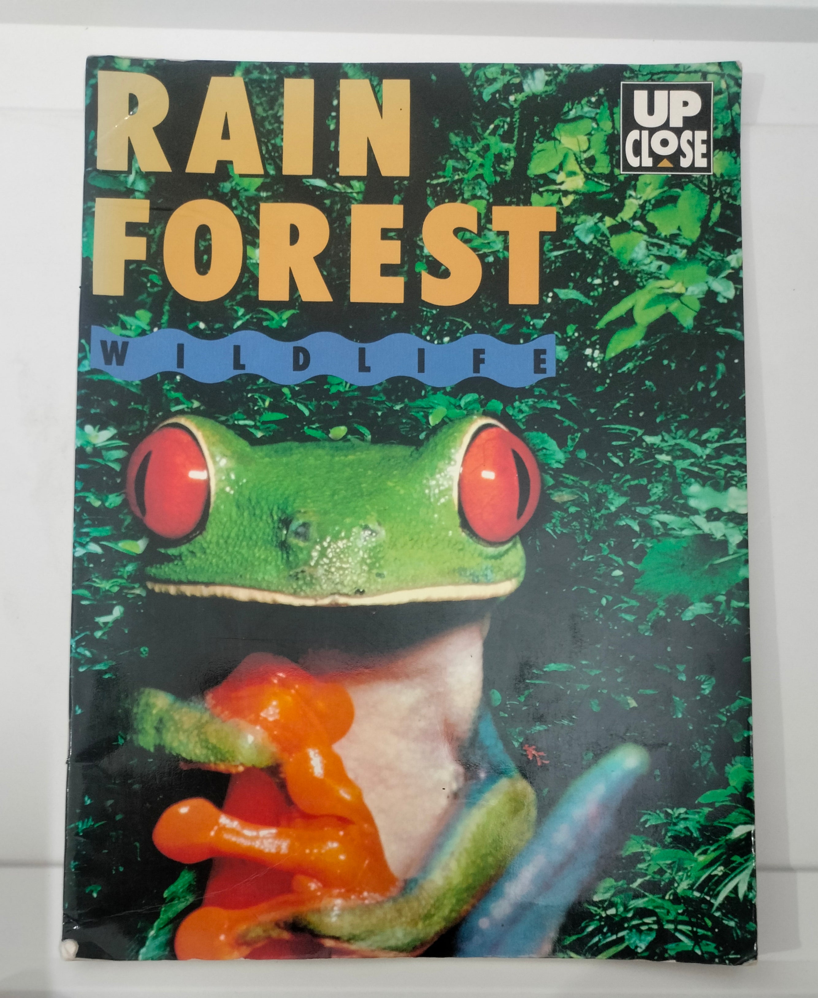 Rain Forest