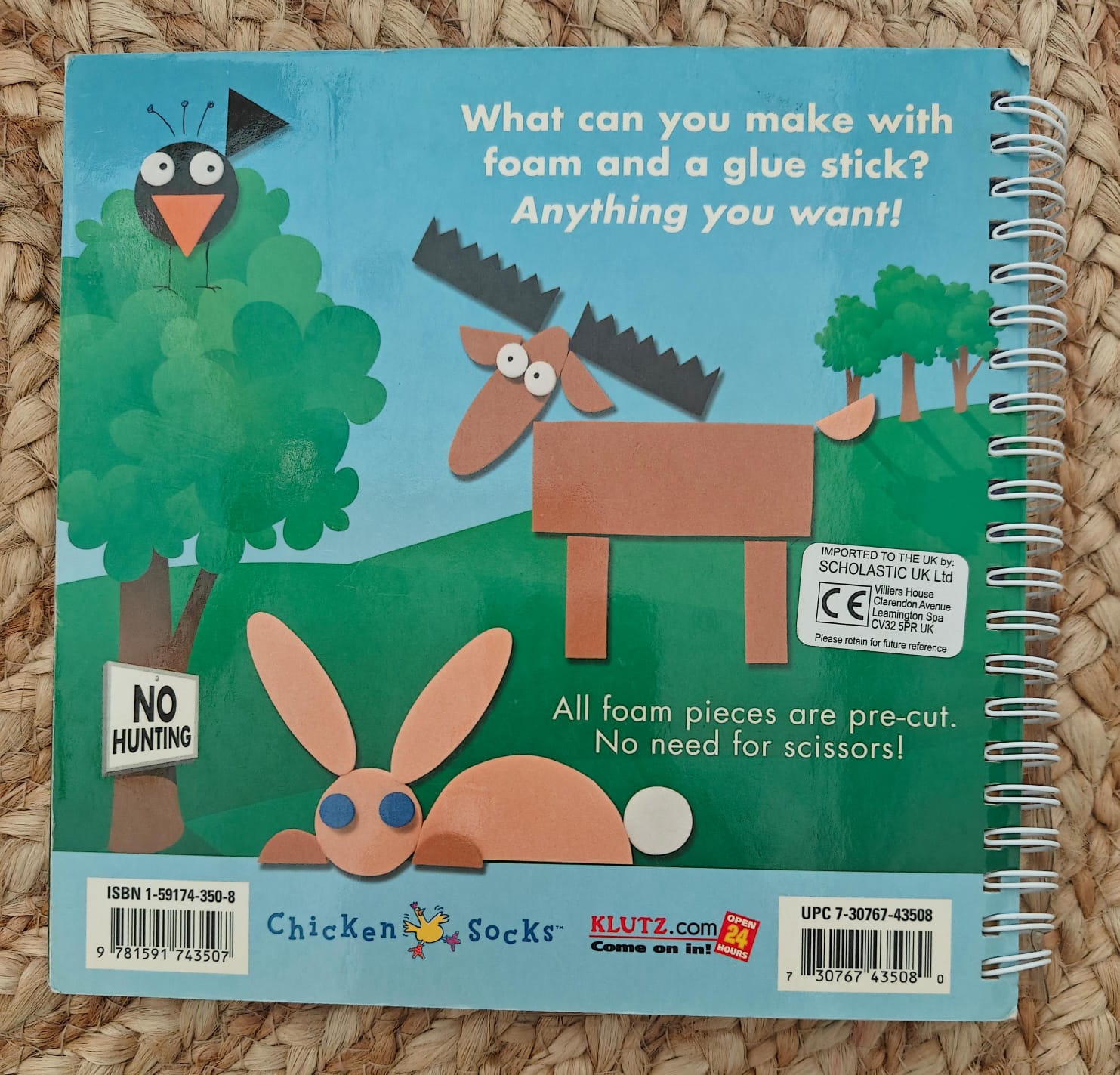 Chicken Socks Foam Book