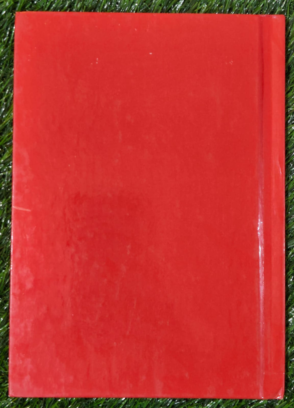 Donald Duck's Big Surprise