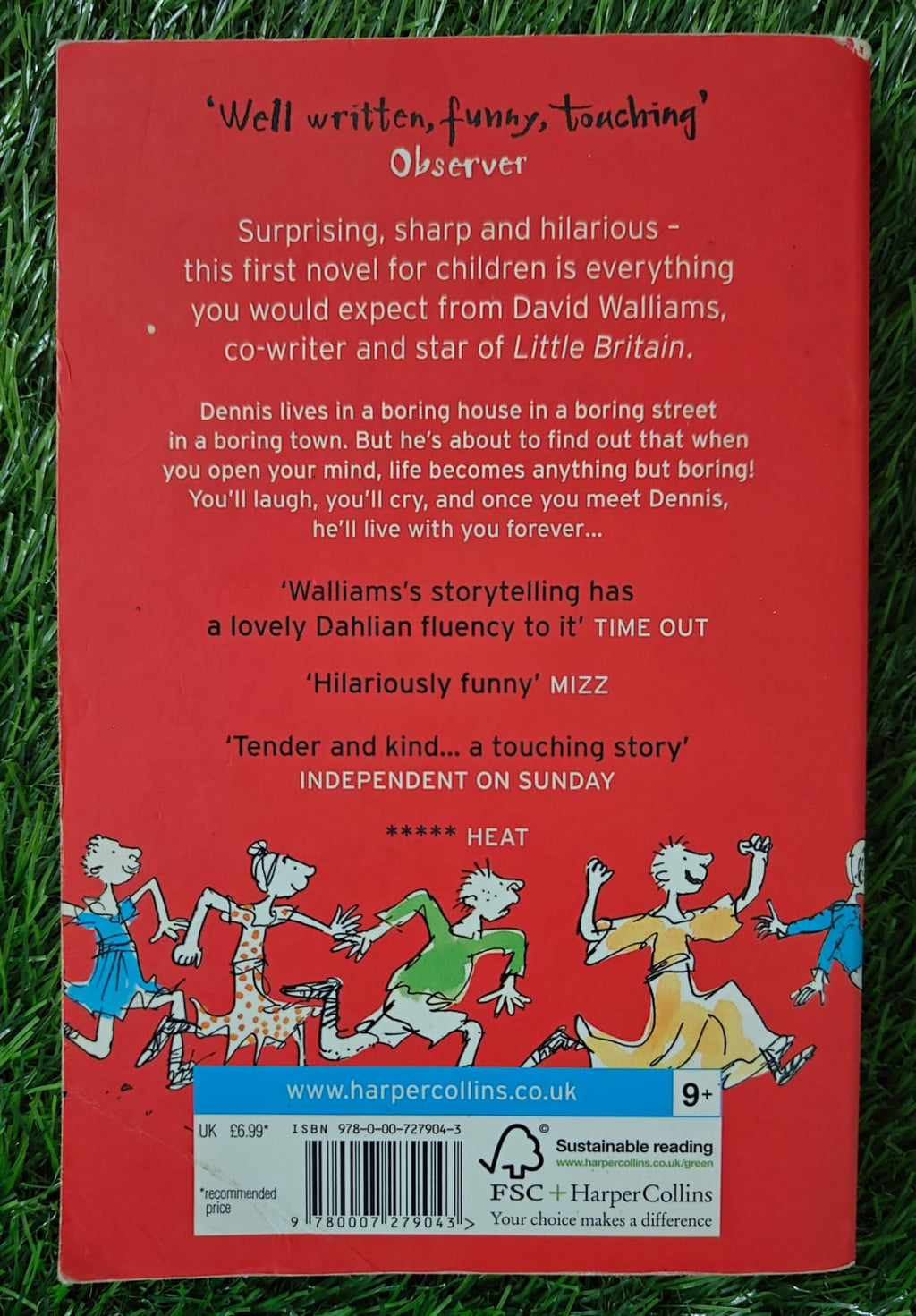 The Boy in the Dress