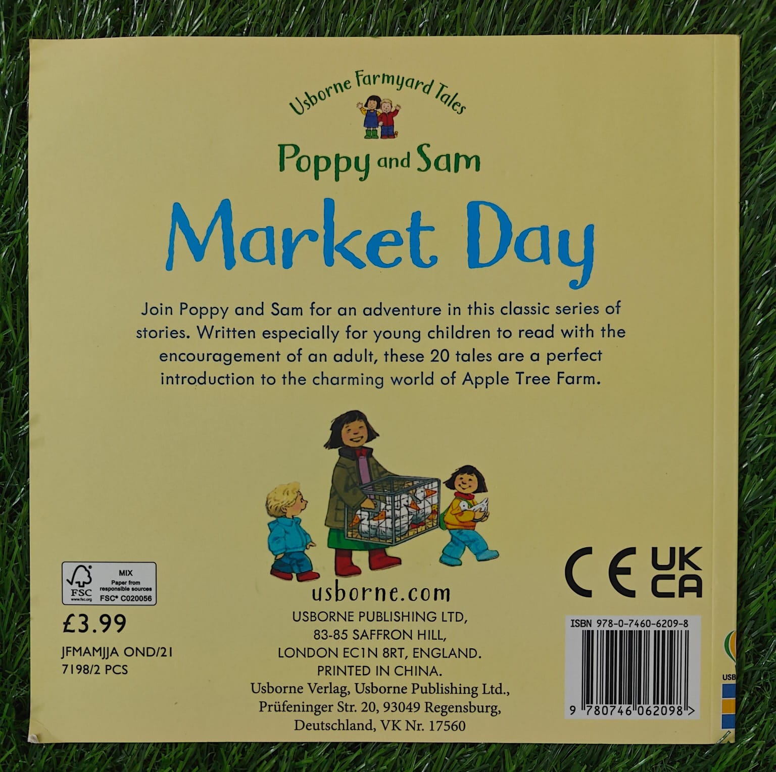 Usborne Farmyard Tales Poppy and Sam Market Day