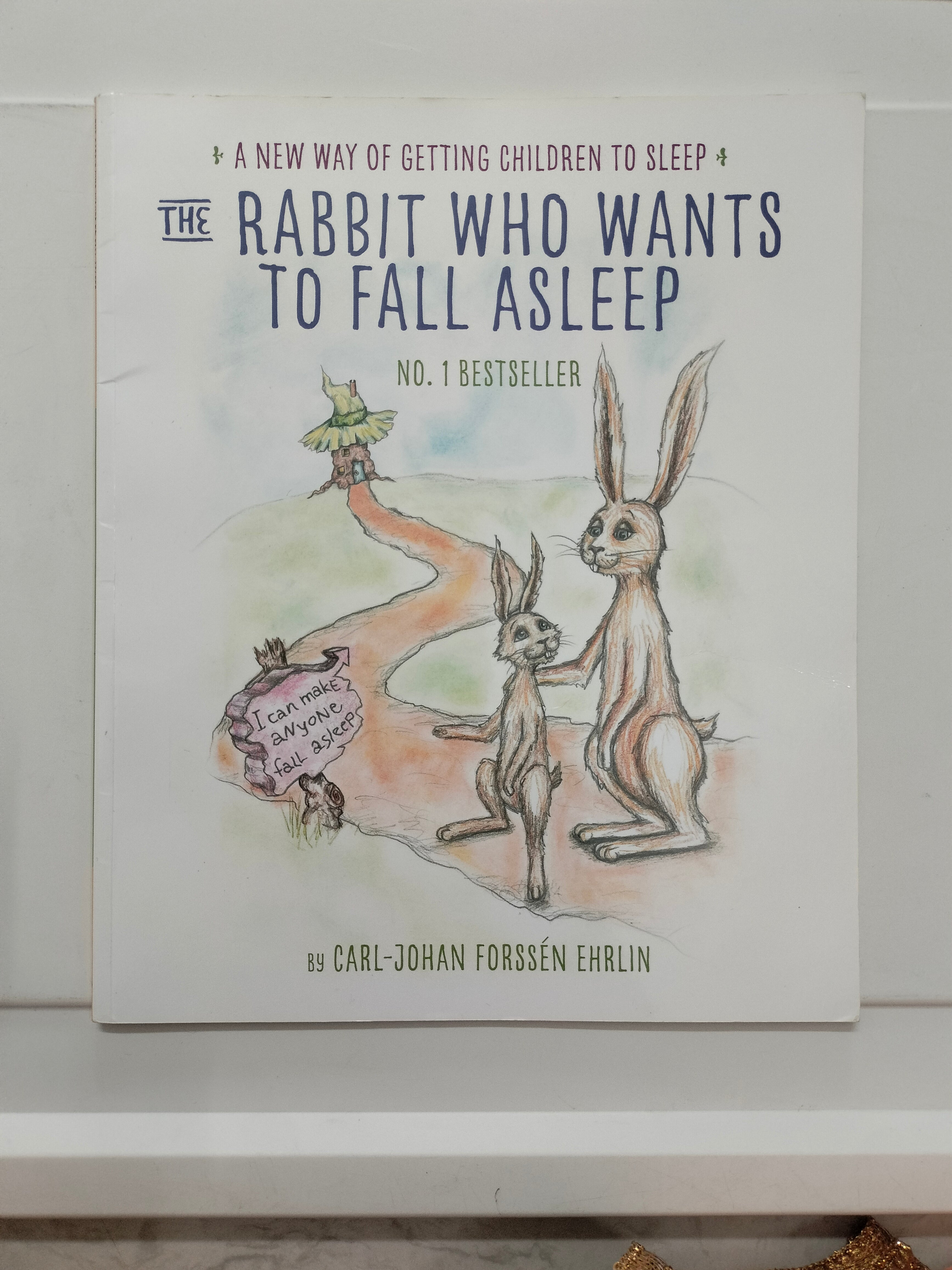 The Rabbit Who Wants to Fall Asleep
