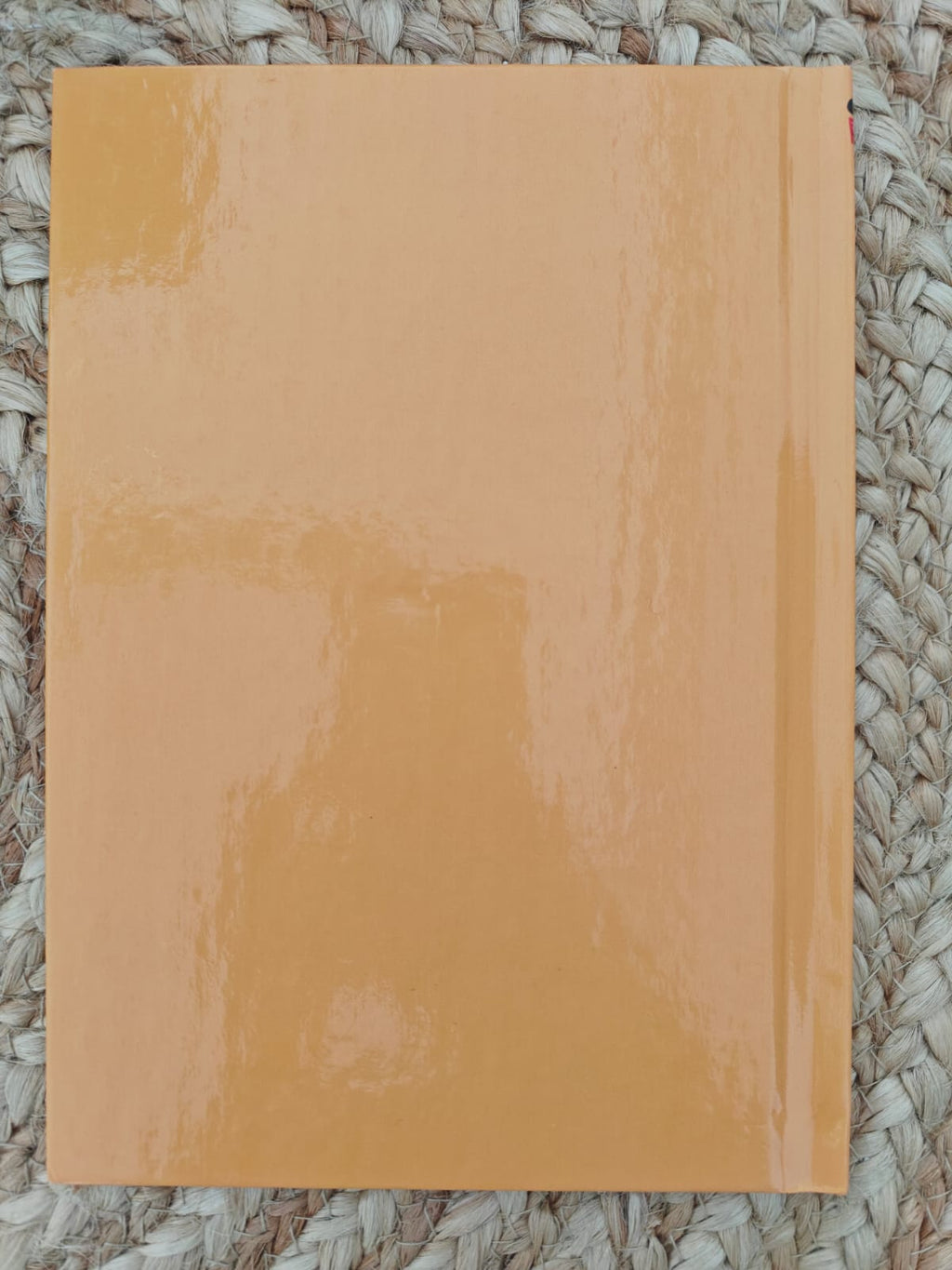 Walt Disney : Oliver and Company