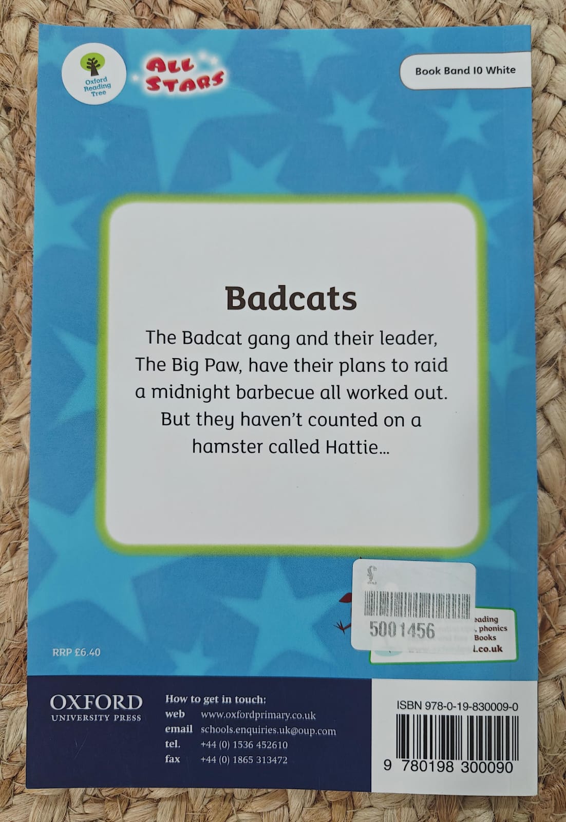 My Chapter Book Collection : Bad Cats