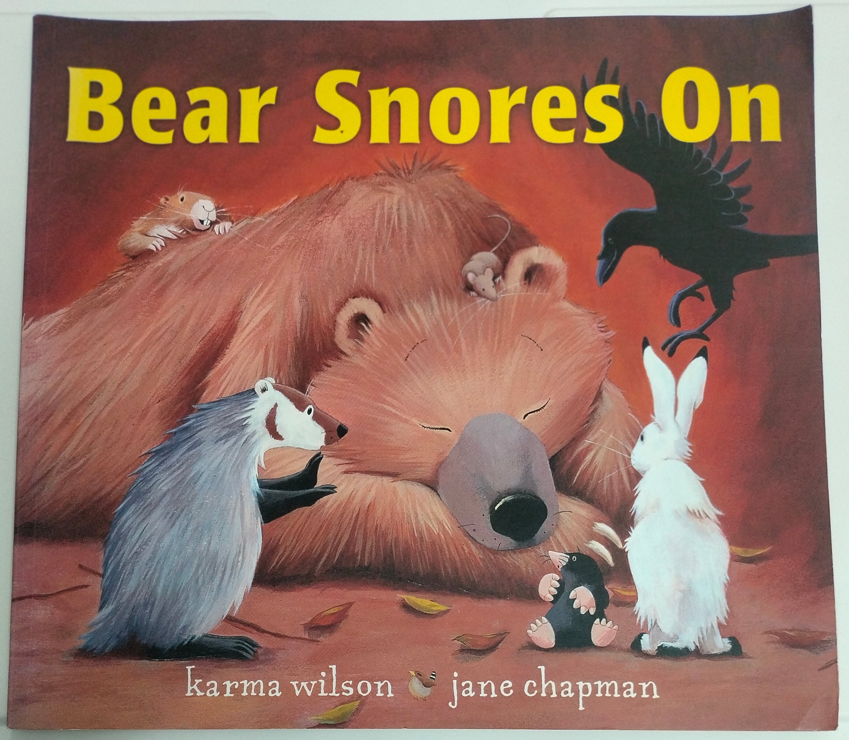 Bear Snores on