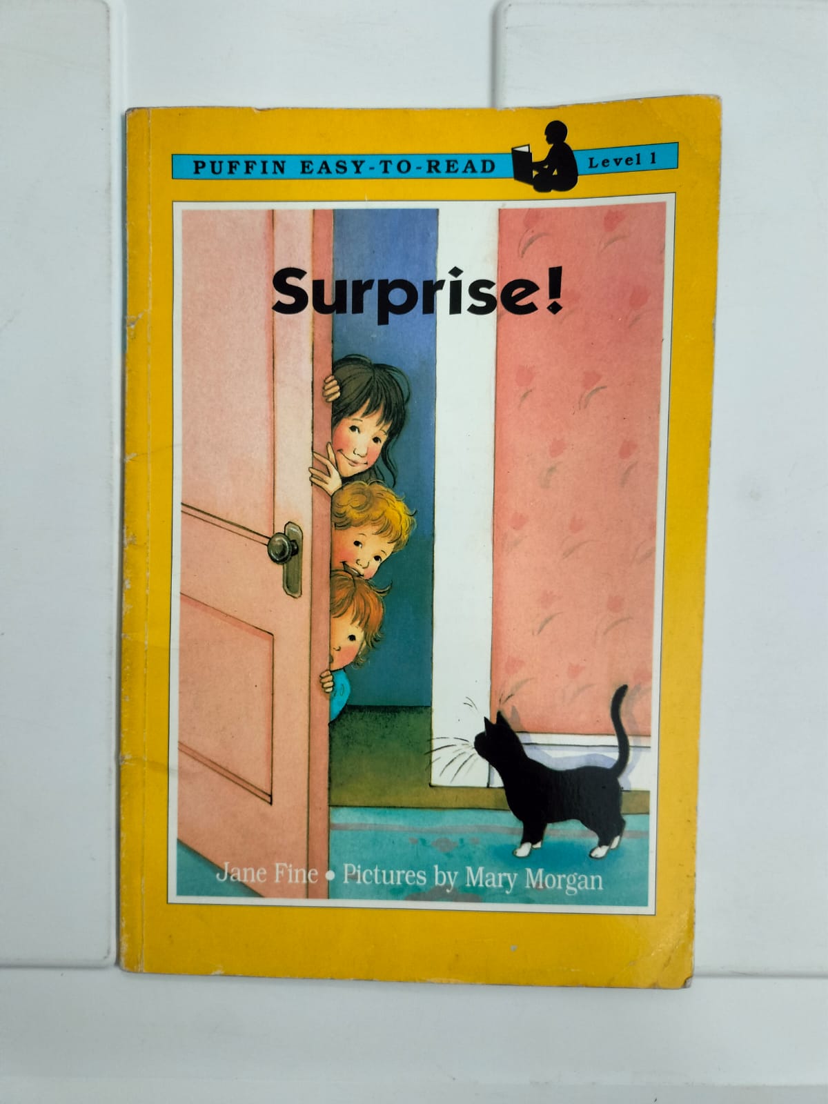 Puffin Easy to Read - Surprise