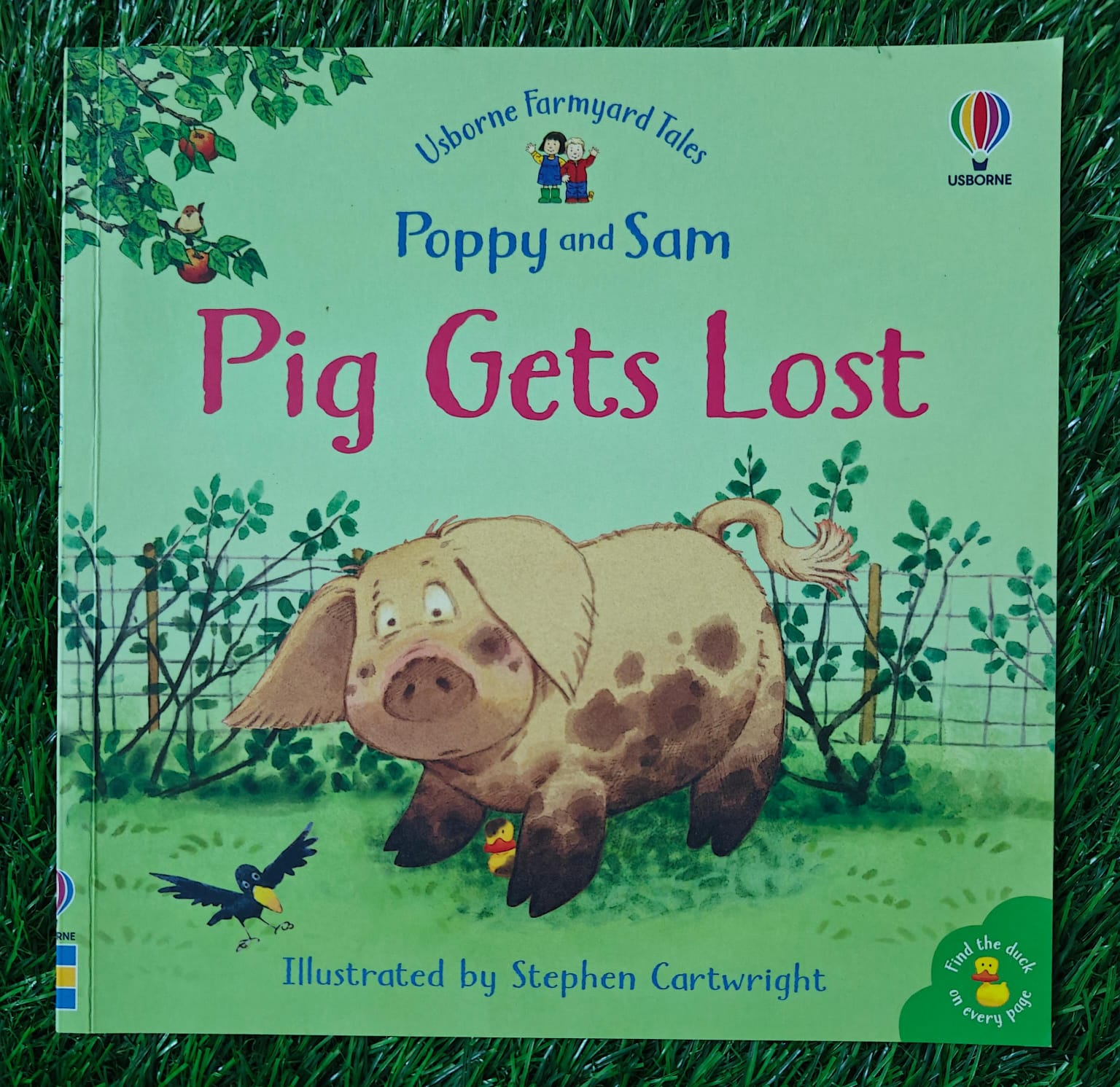Usborne Farmyard Tales Poppy and Sam Pig Gets Lost