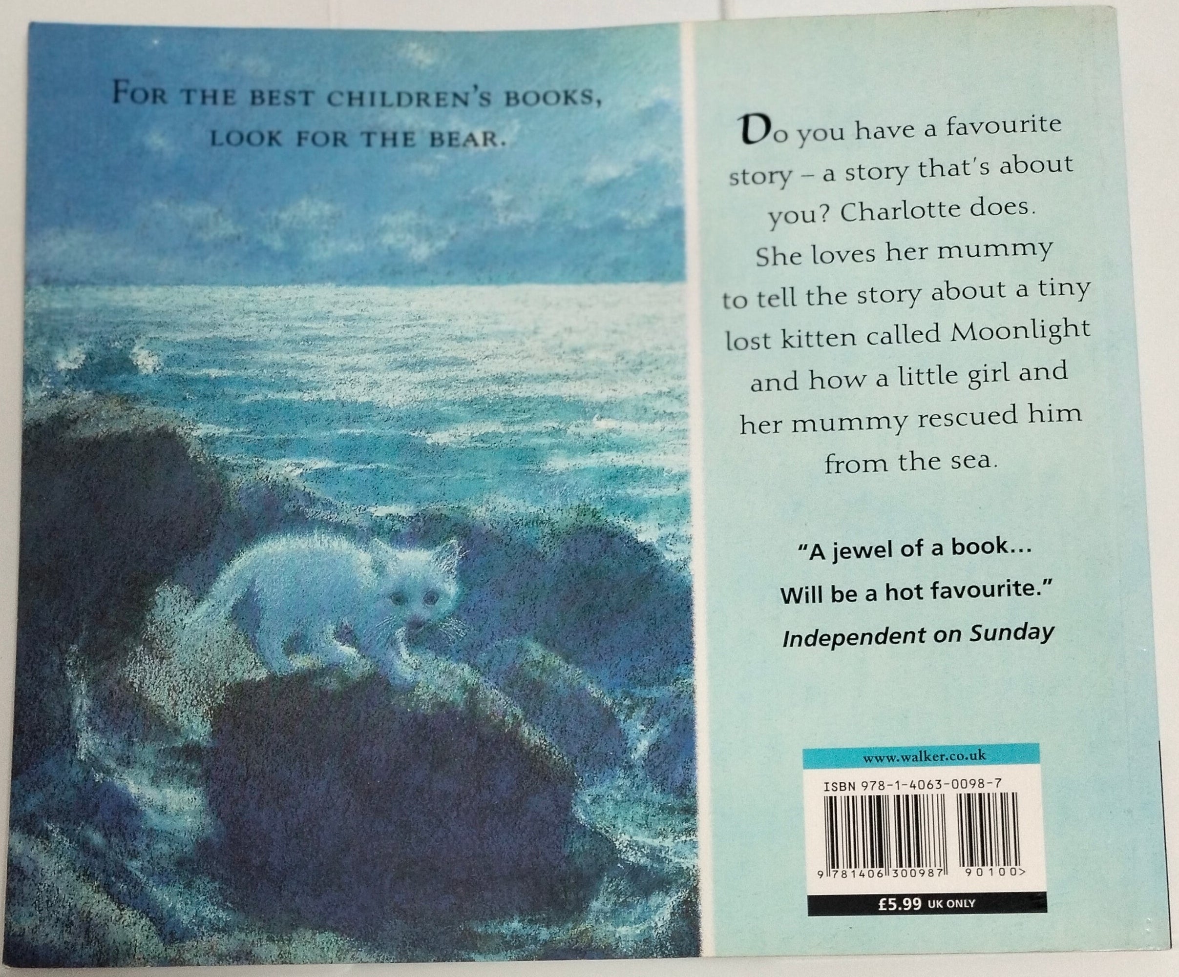 A Kitten Called Moonlight