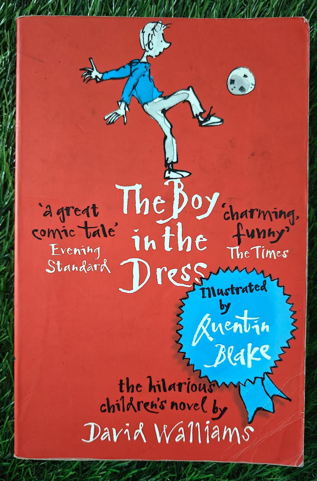 The Boy in the Dress