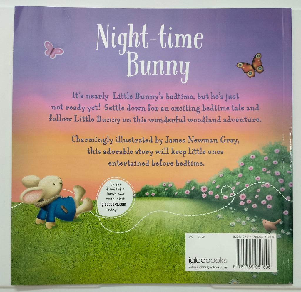 Night Time Bunny