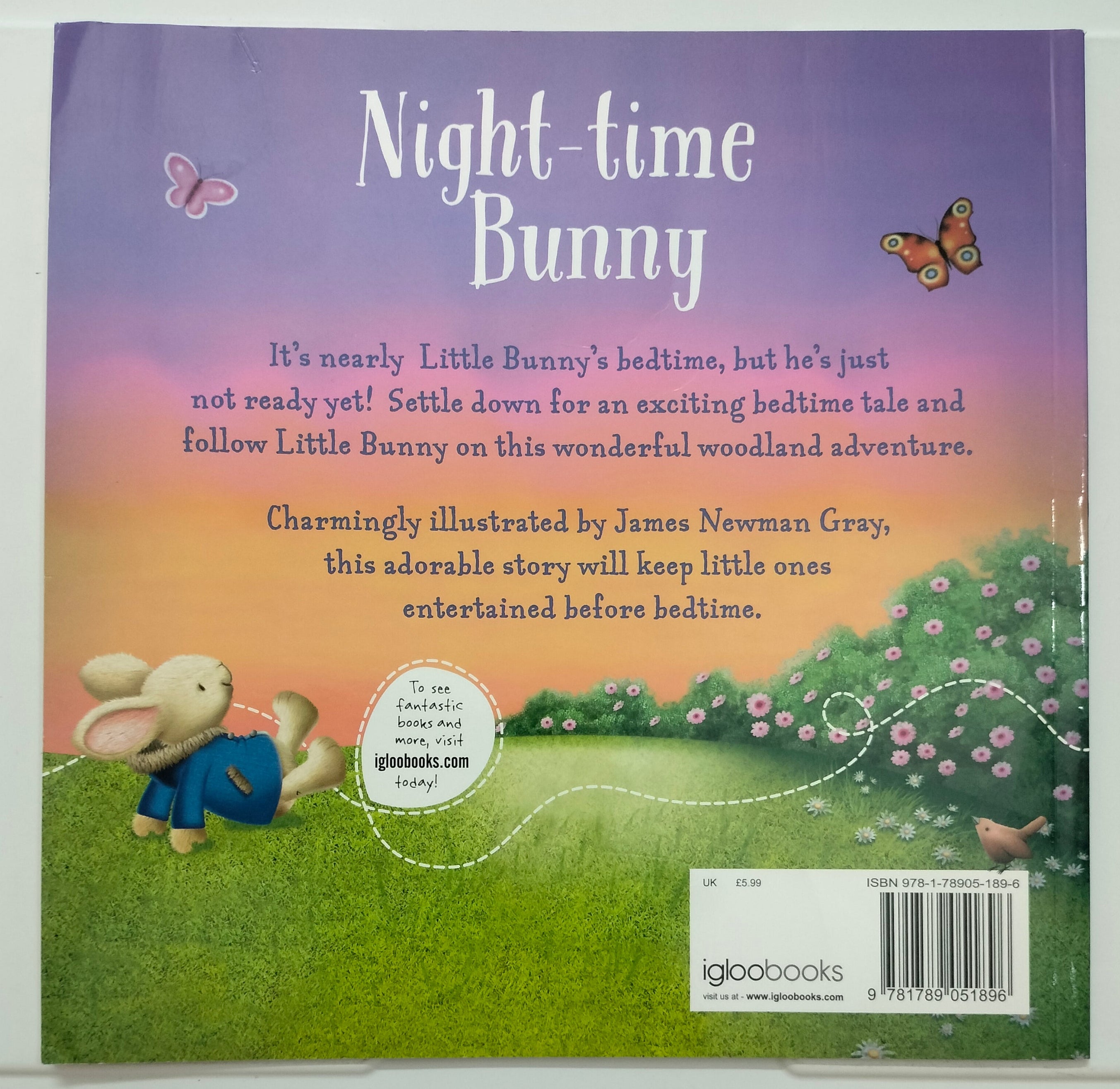 Night Time Bunny