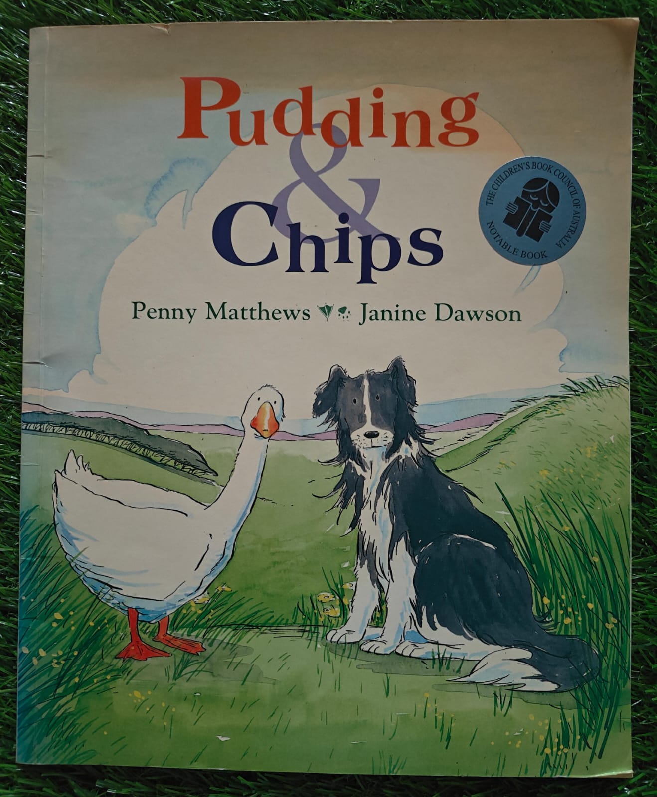 Pudding and Chips