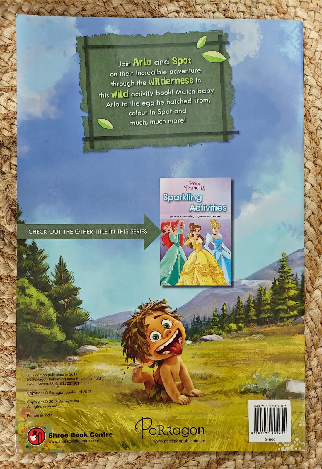 Disney Pixar the Good Dinosaur Buddy Activities