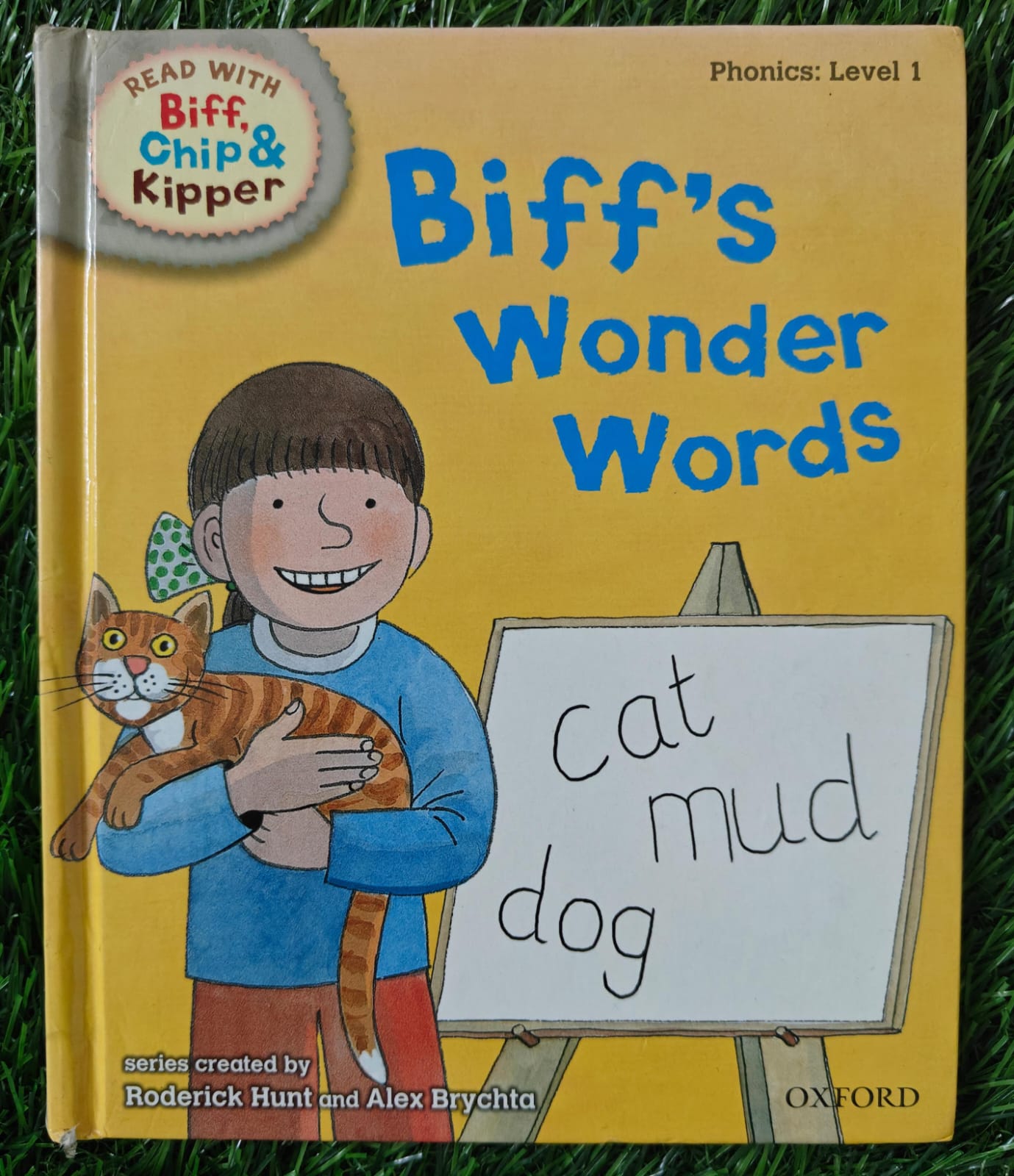 Phonics Level 1 : Biff Wonder Words