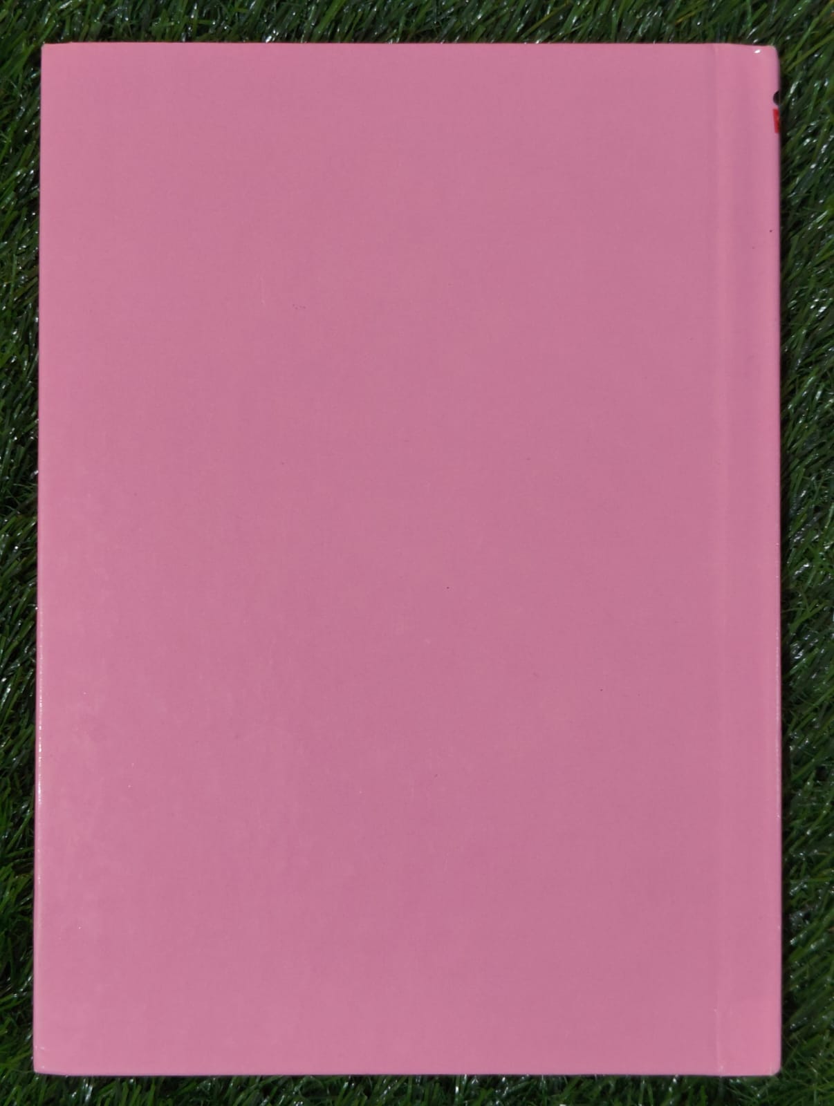 Lil Wolf and the Three Pigs