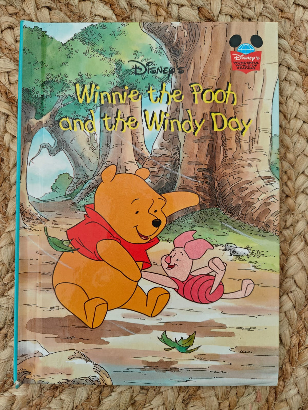 Disney Winnie the Pooh and the Windy Day