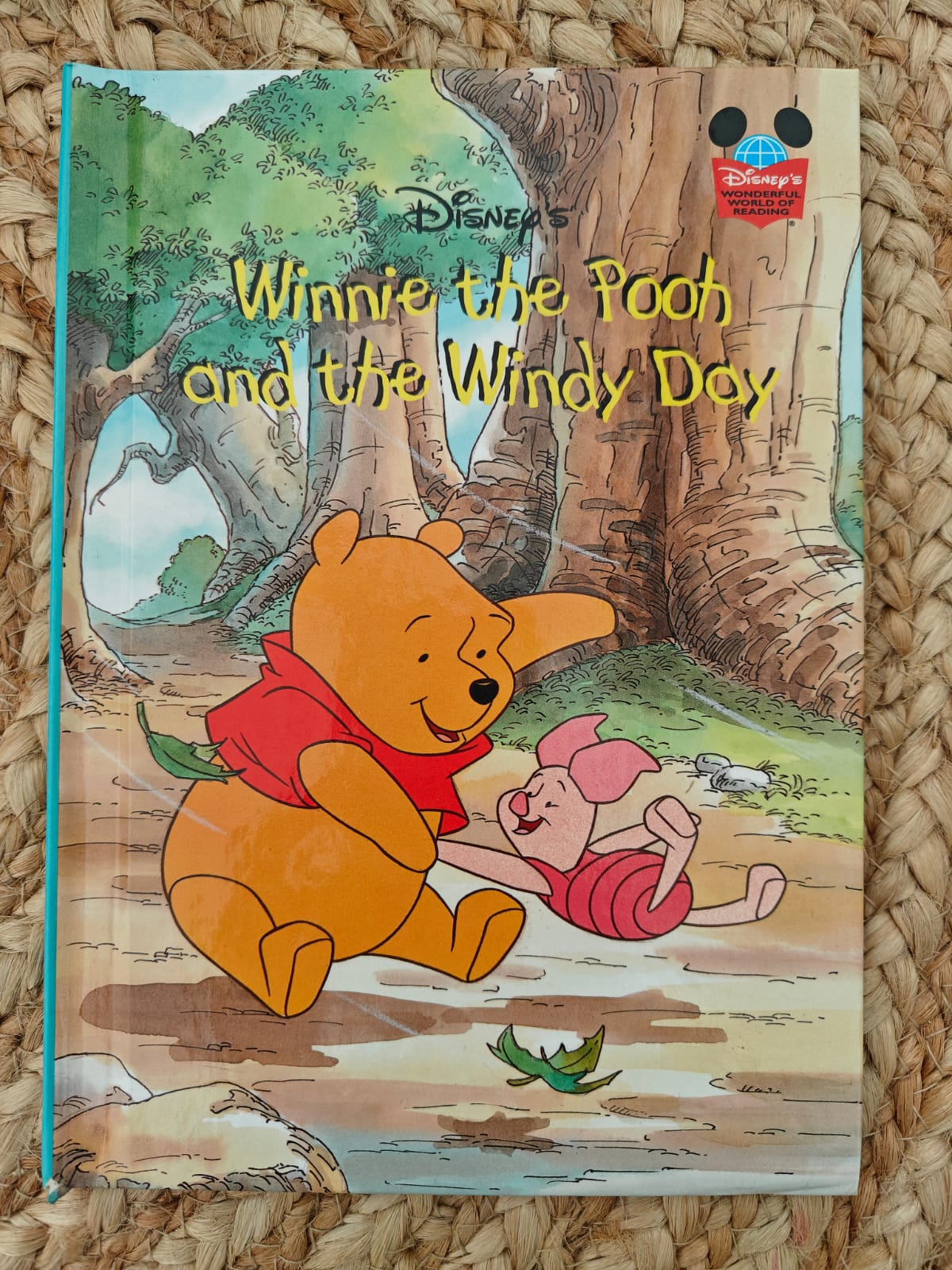 Disney Winnie the Pooh and the Windy Day