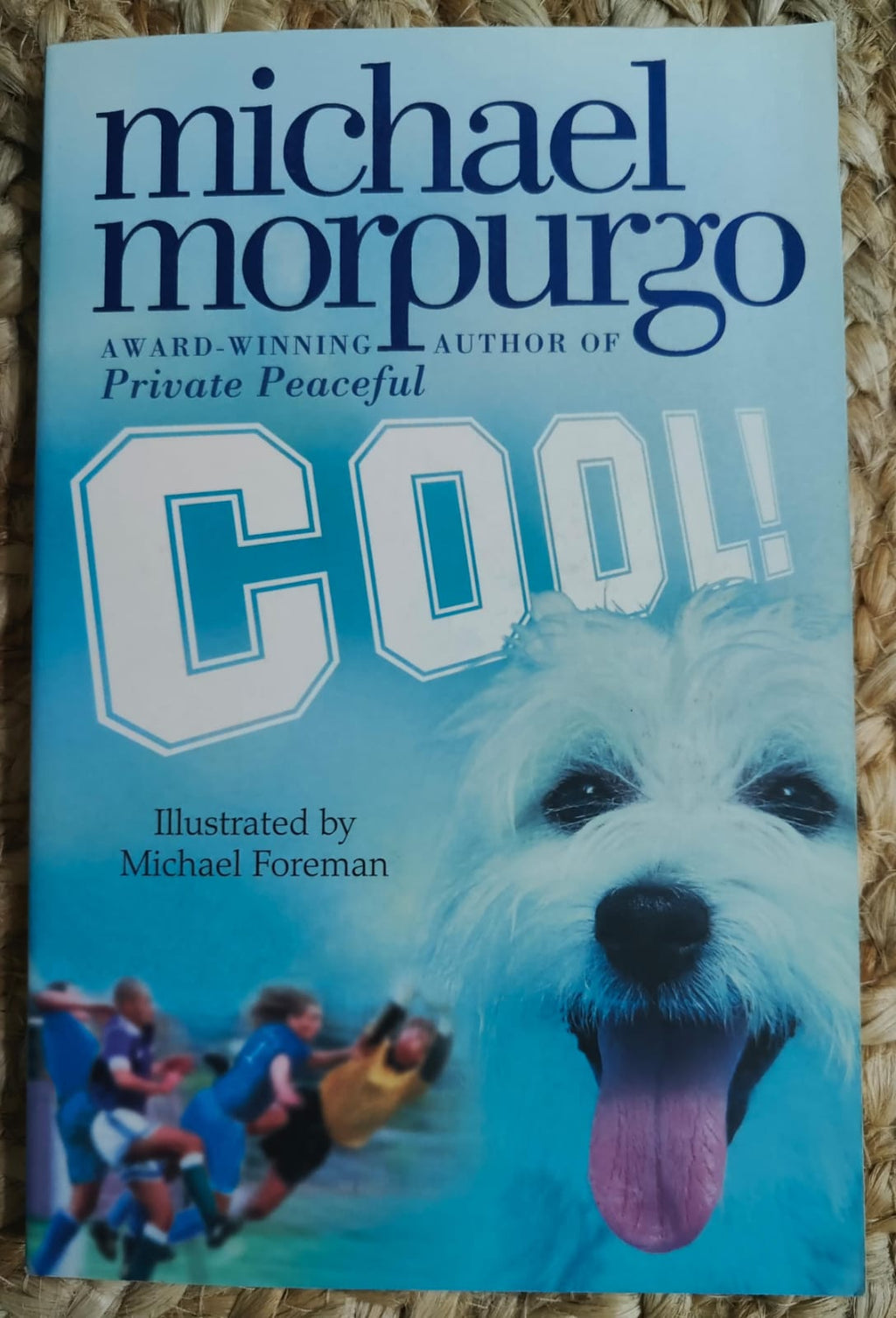 Cool (Michael Morpurgo)