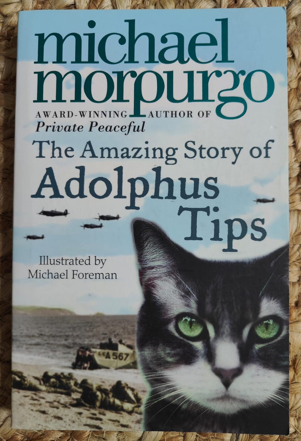 The Amazing Story of Adolphus Tips - Michael Morpugo