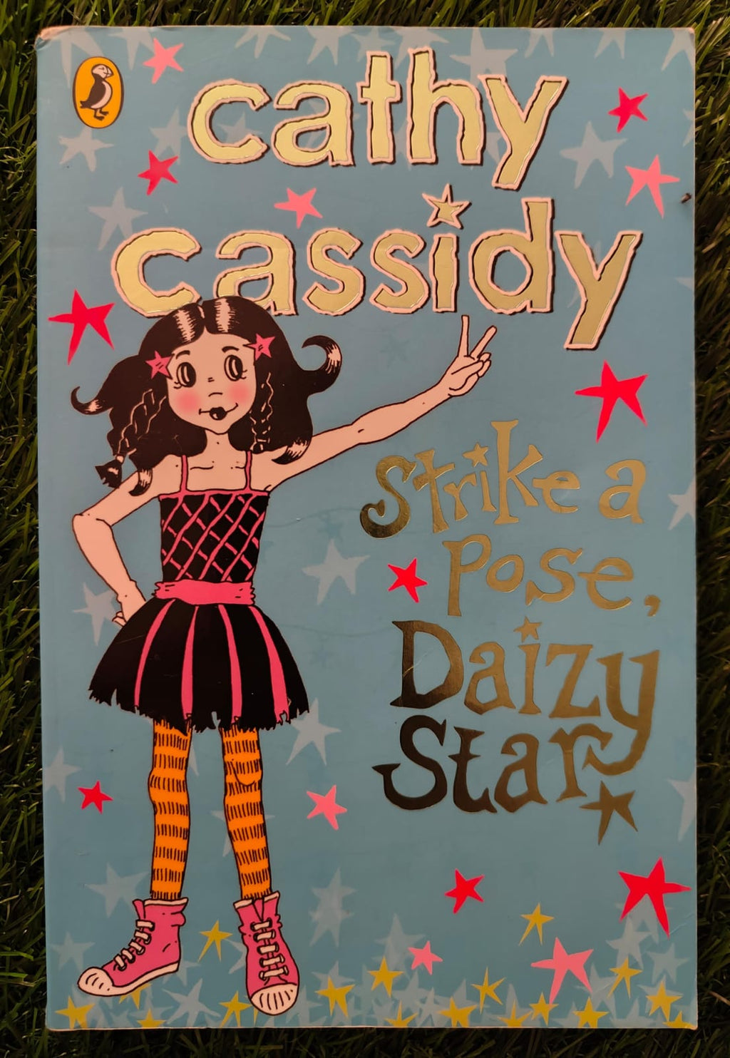 Cathy Cassidy Strike a Pose Daizy Star
