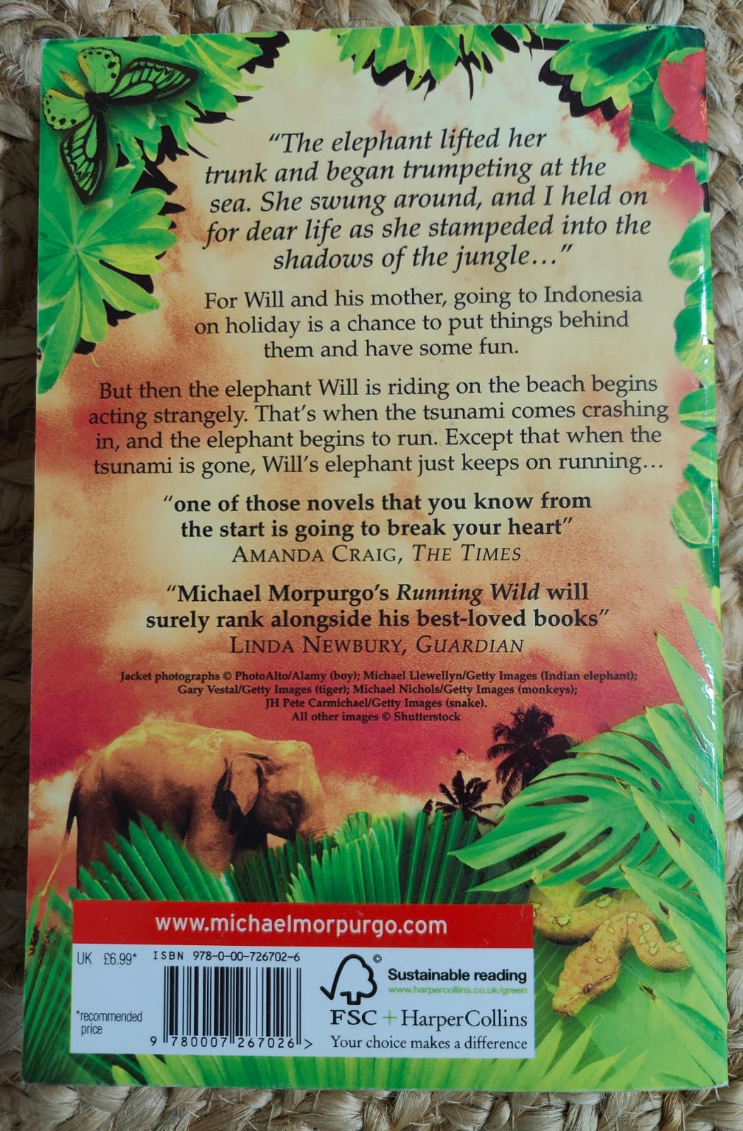 Running Wild(Michael Morpurgo)