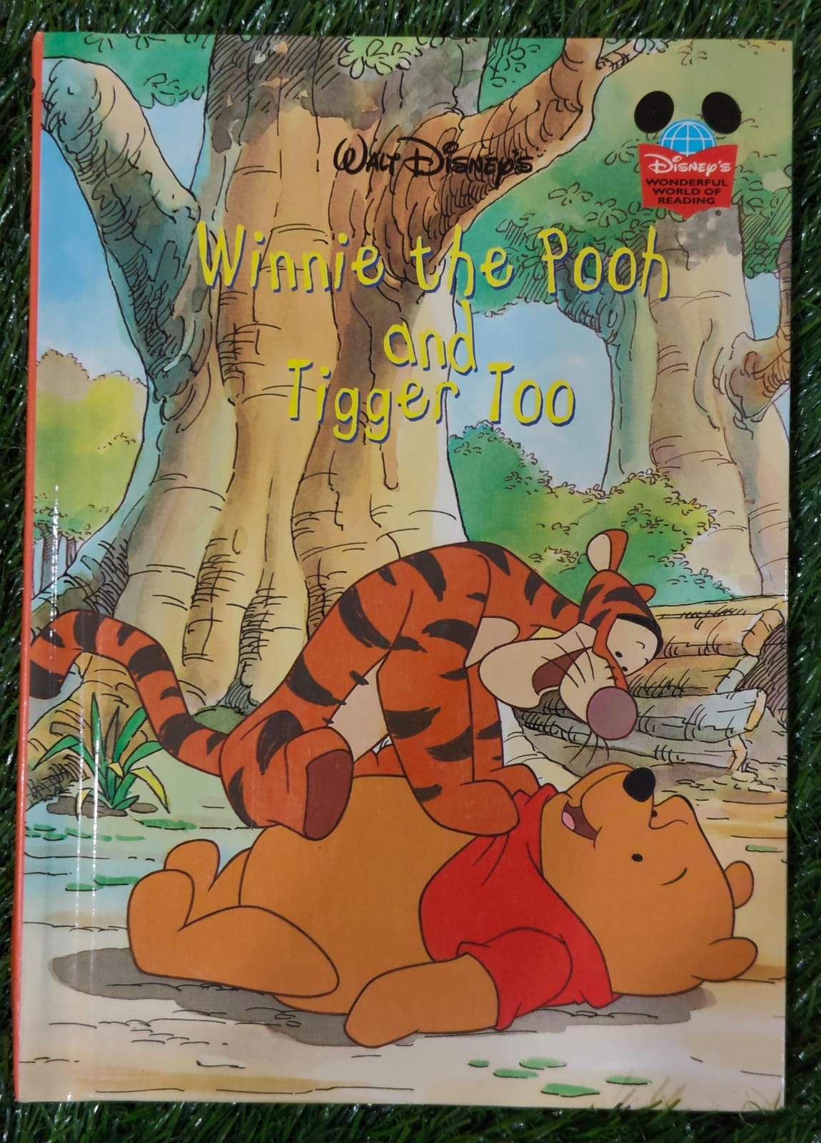 Winnie the Pooh and Tigger Too