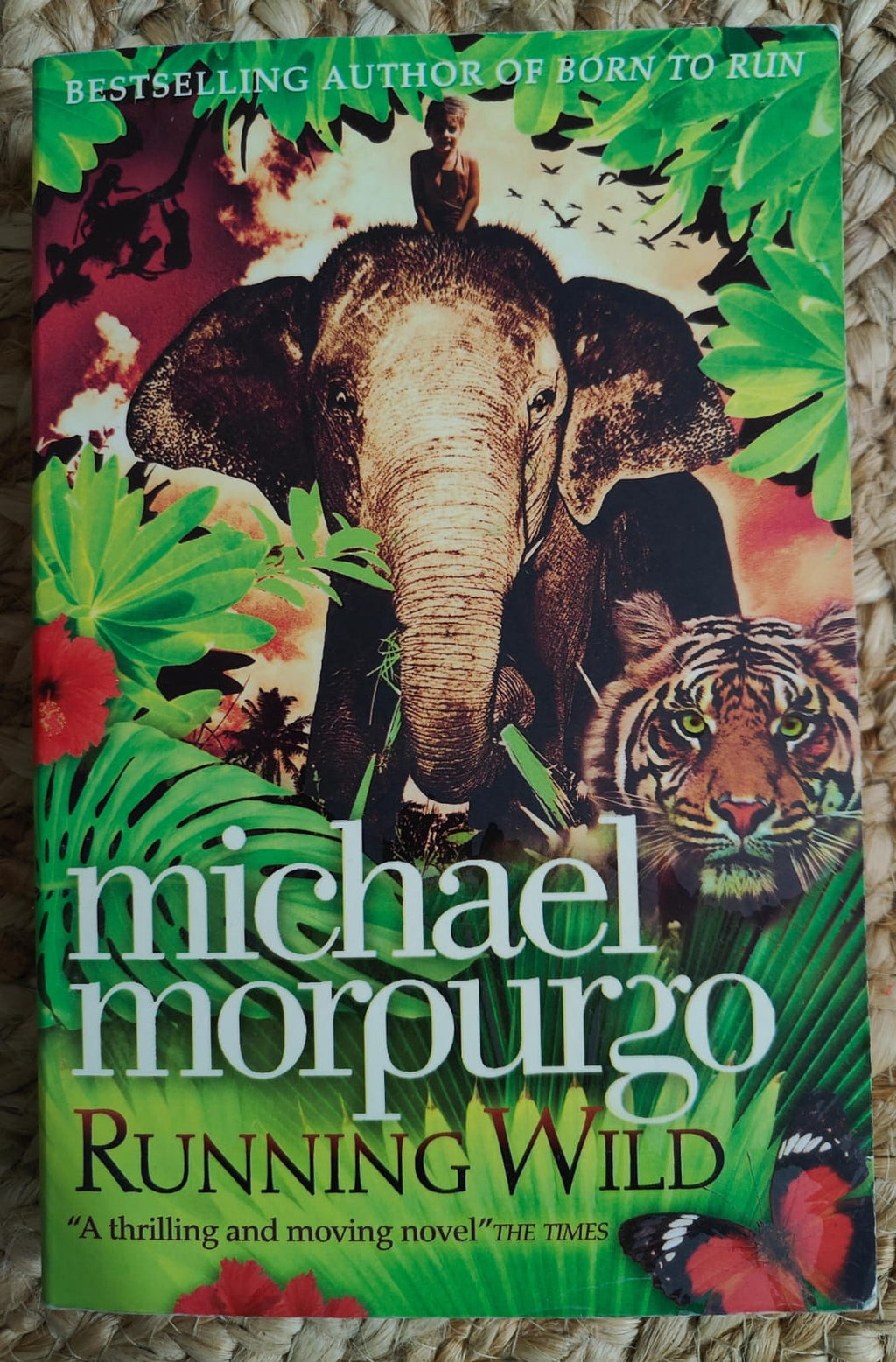 Running Wild(Michael Morpurgo)