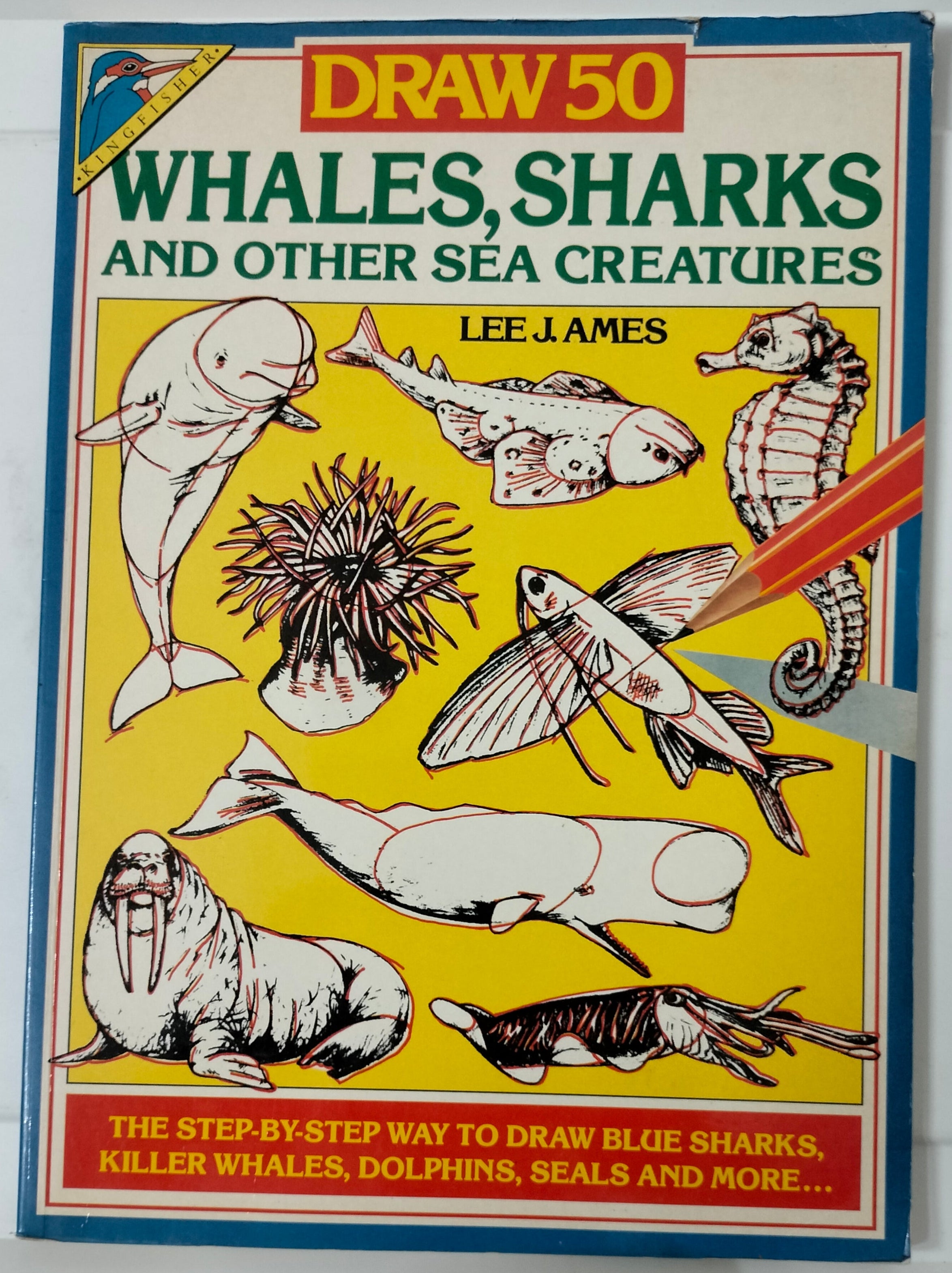 DRAW 50  - Whales, Sharks and Other Sea Creatures