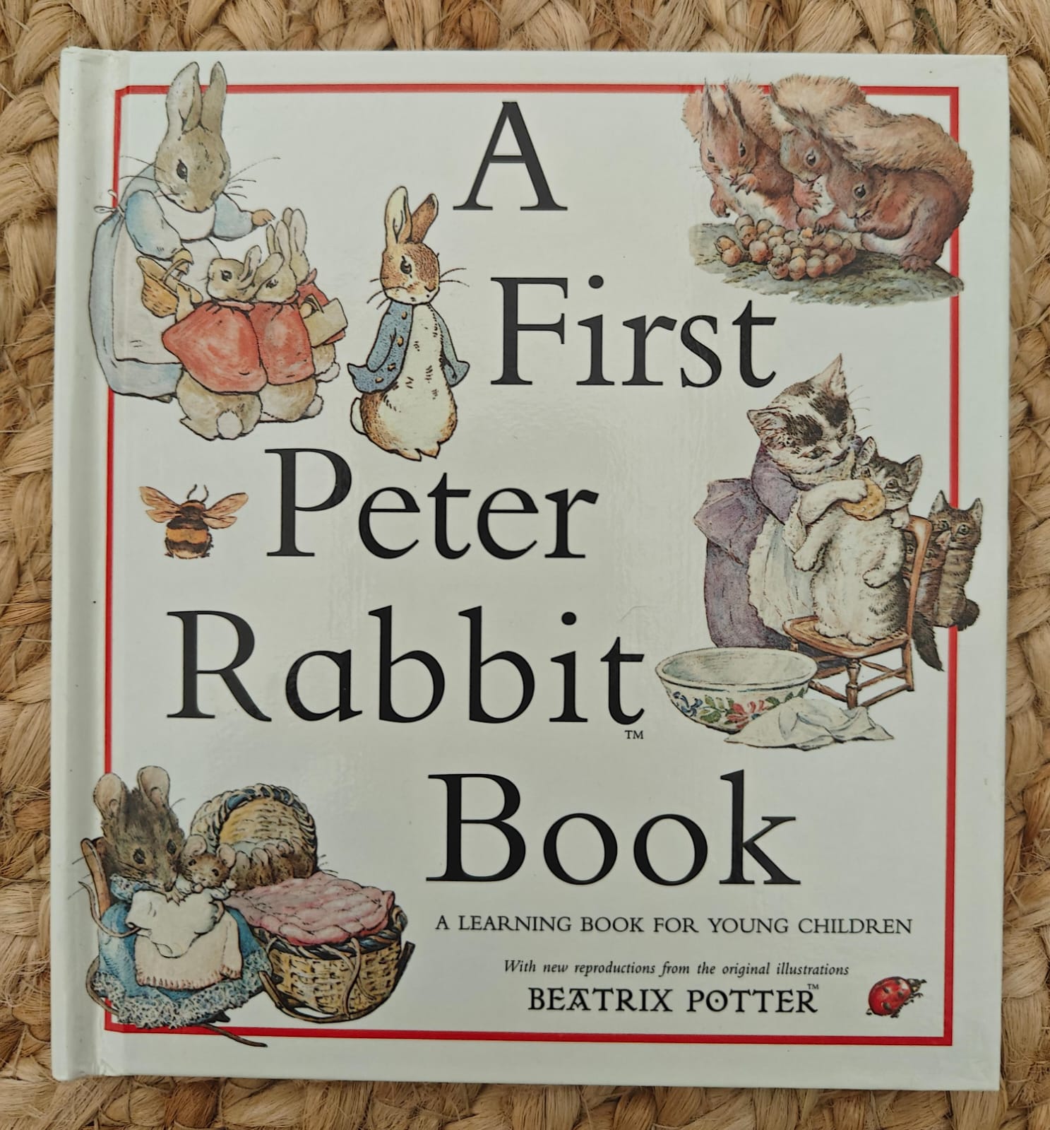 Beatrix Potters Miniature Nursery Library