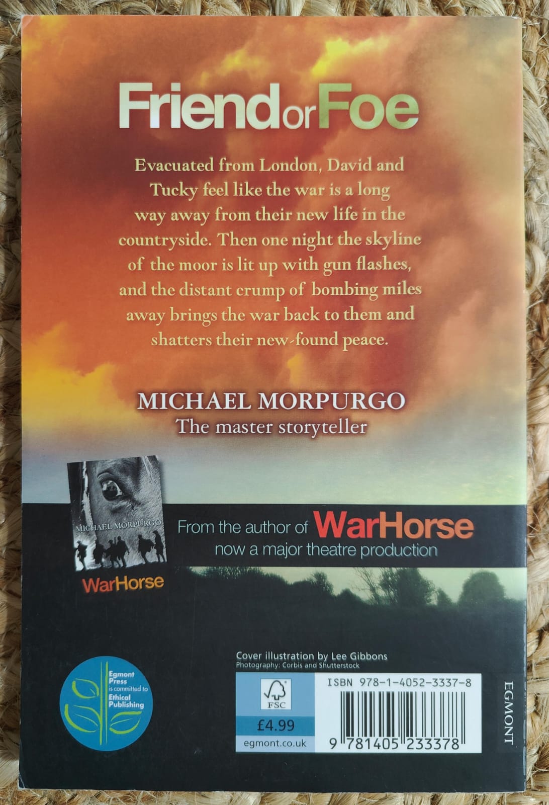 Friend or Foe(Michael Morpurgo)