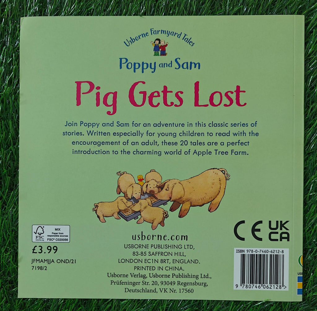 Usborne Farmyard Tales Poppy and Sam Pig Gets Lost