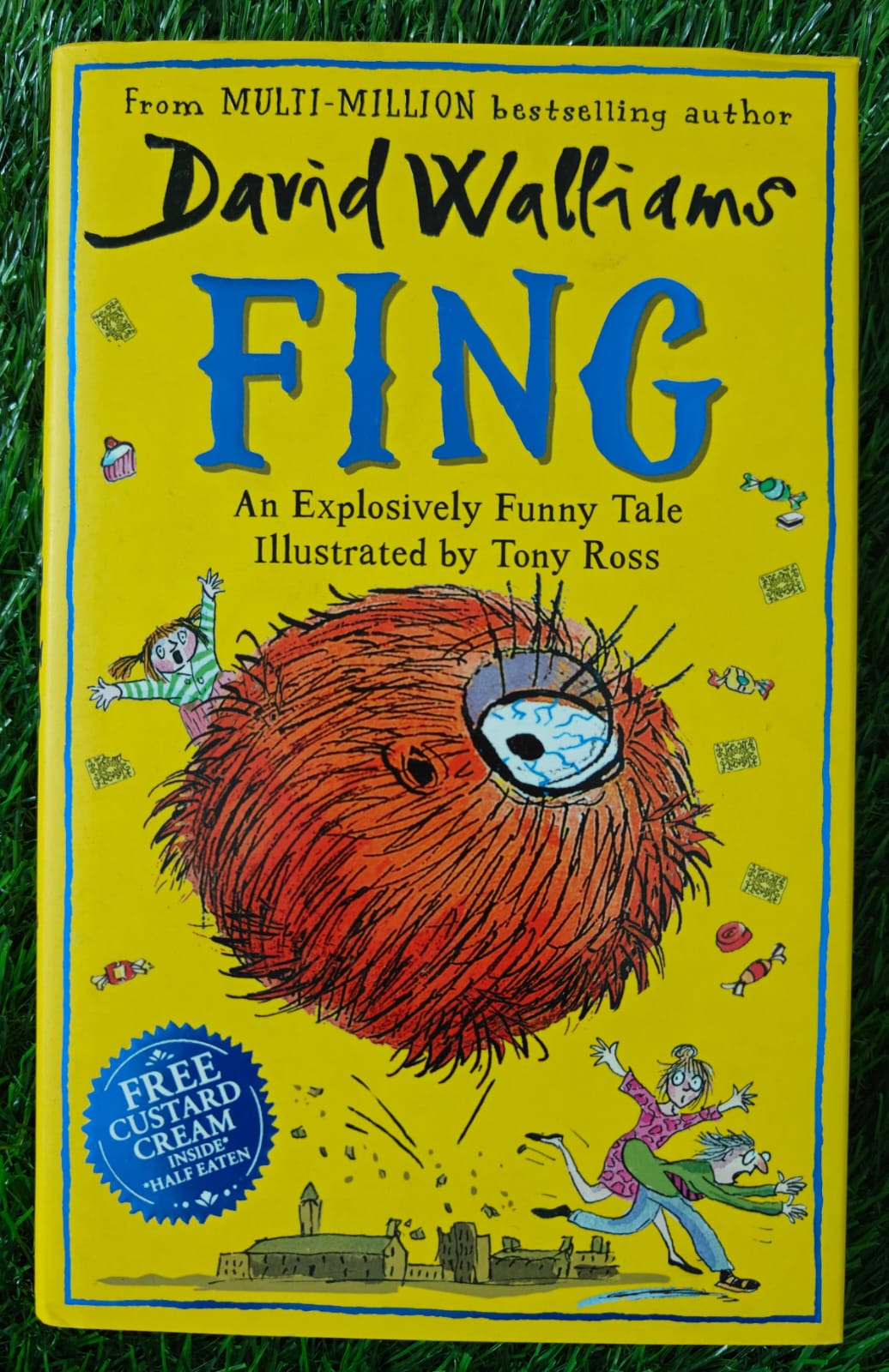 Fing ( David Wallians )