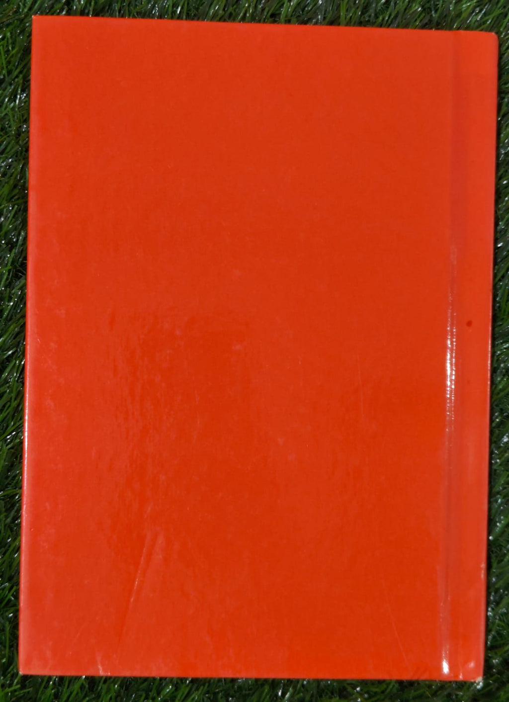 Winnie the Pooh and Tigger Too