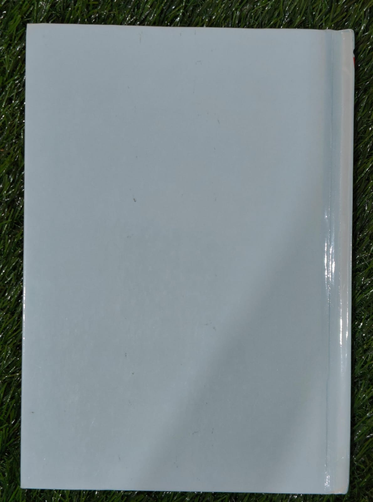 The Rescuers Down Under