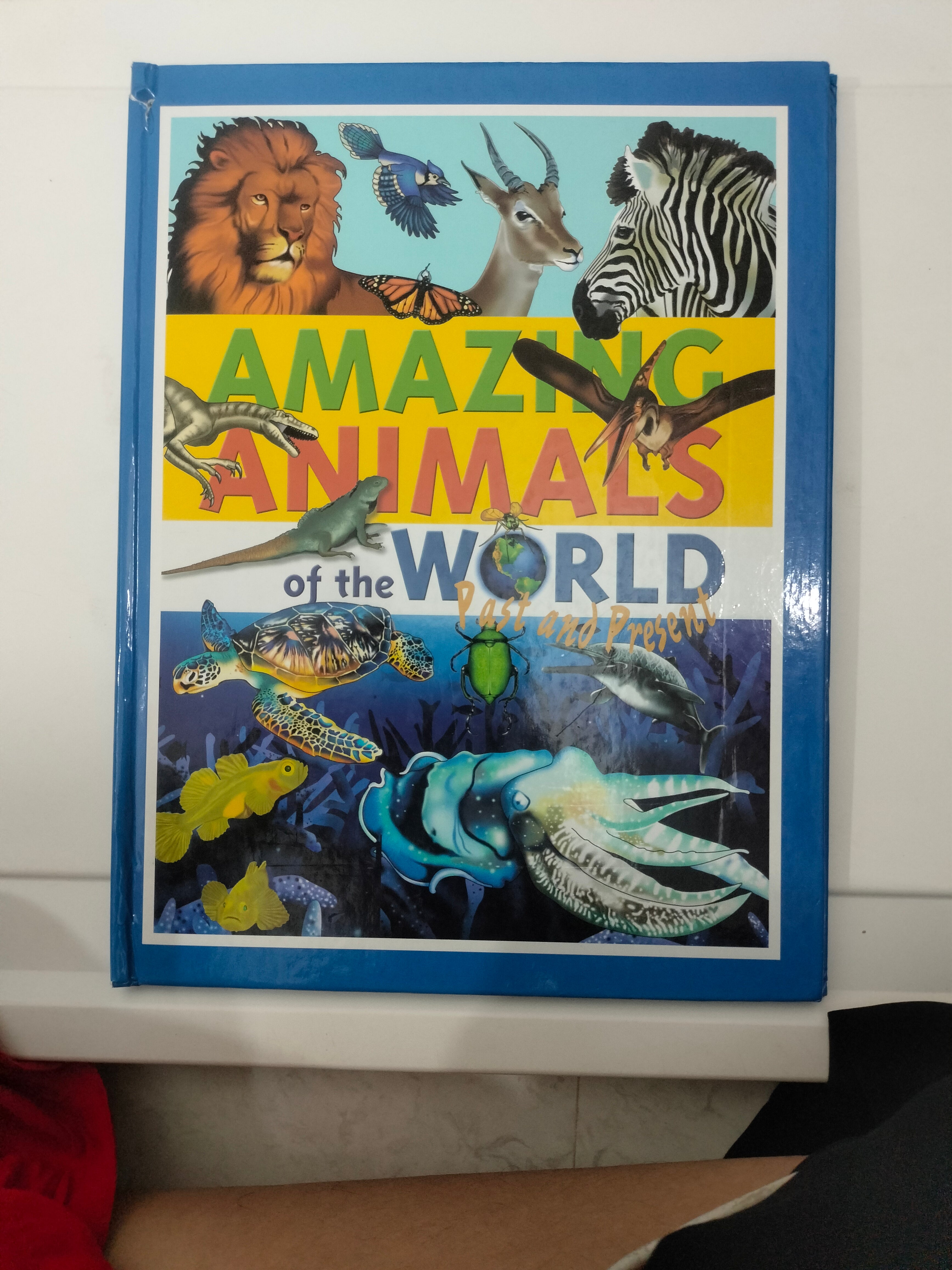 Amazing Animals of the World