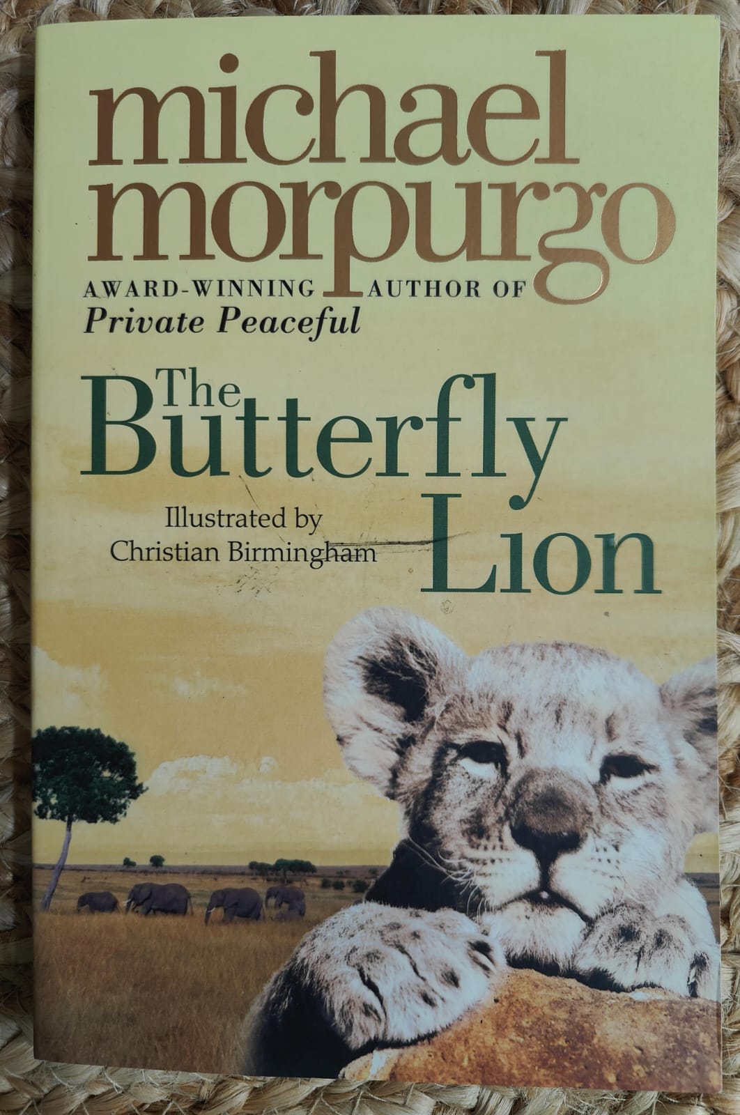 The Butterfly Lion - Michael Morpugo