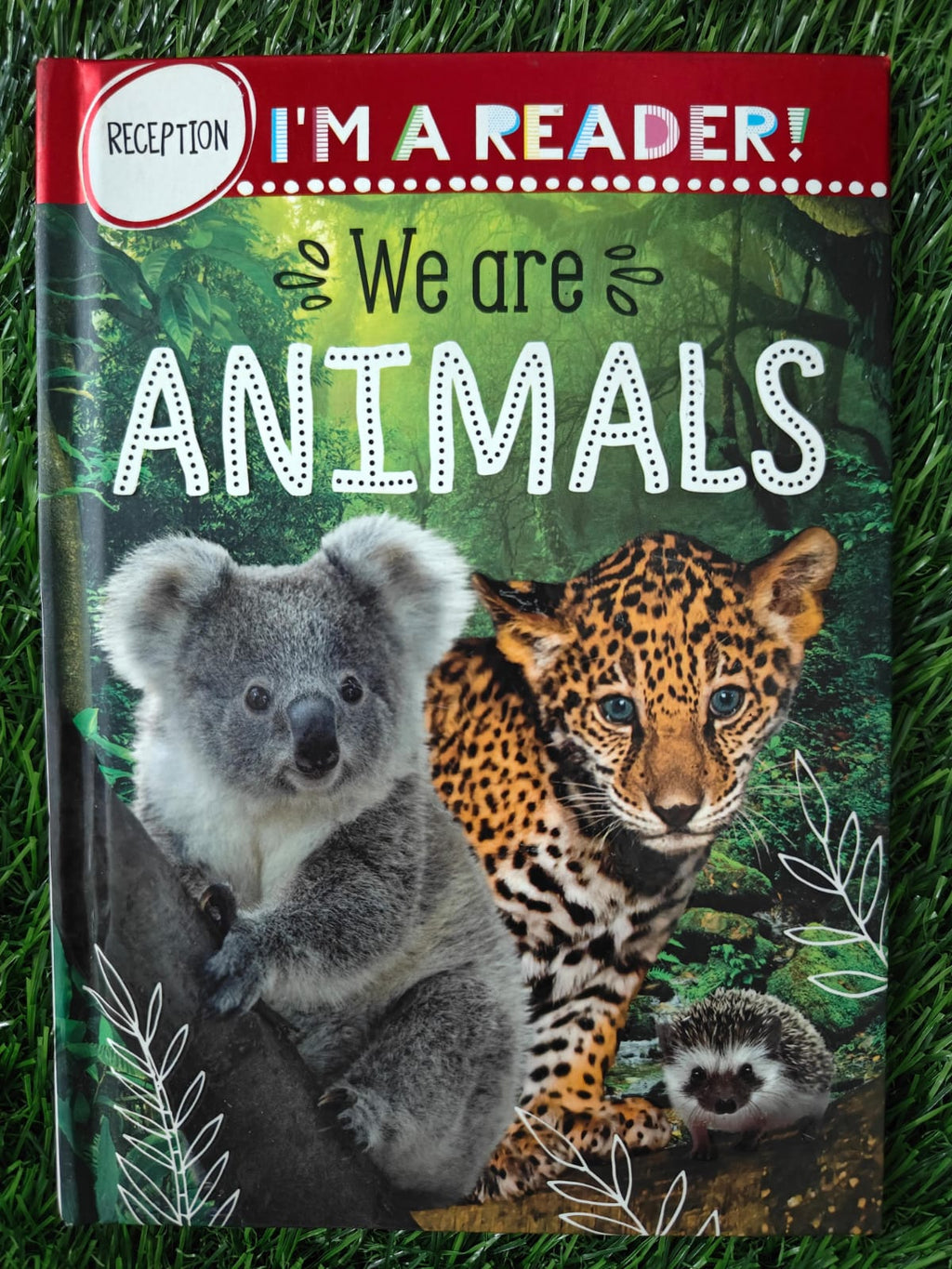 I m a Reader We are Animals