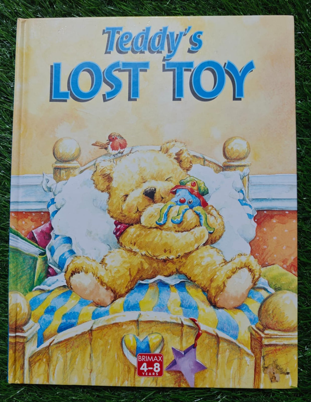 Teddy's Lost Toy