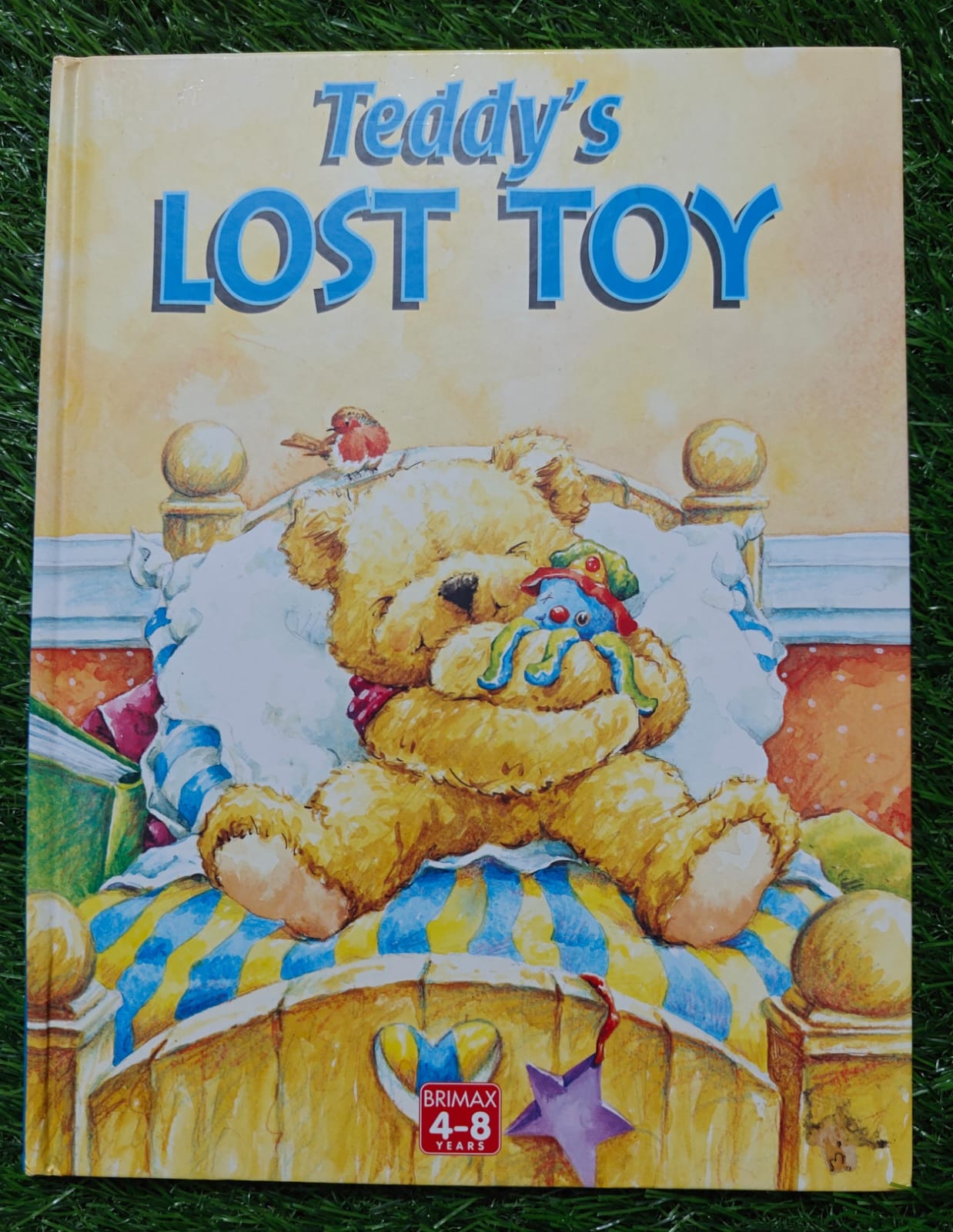 Teddy's Lost Toy