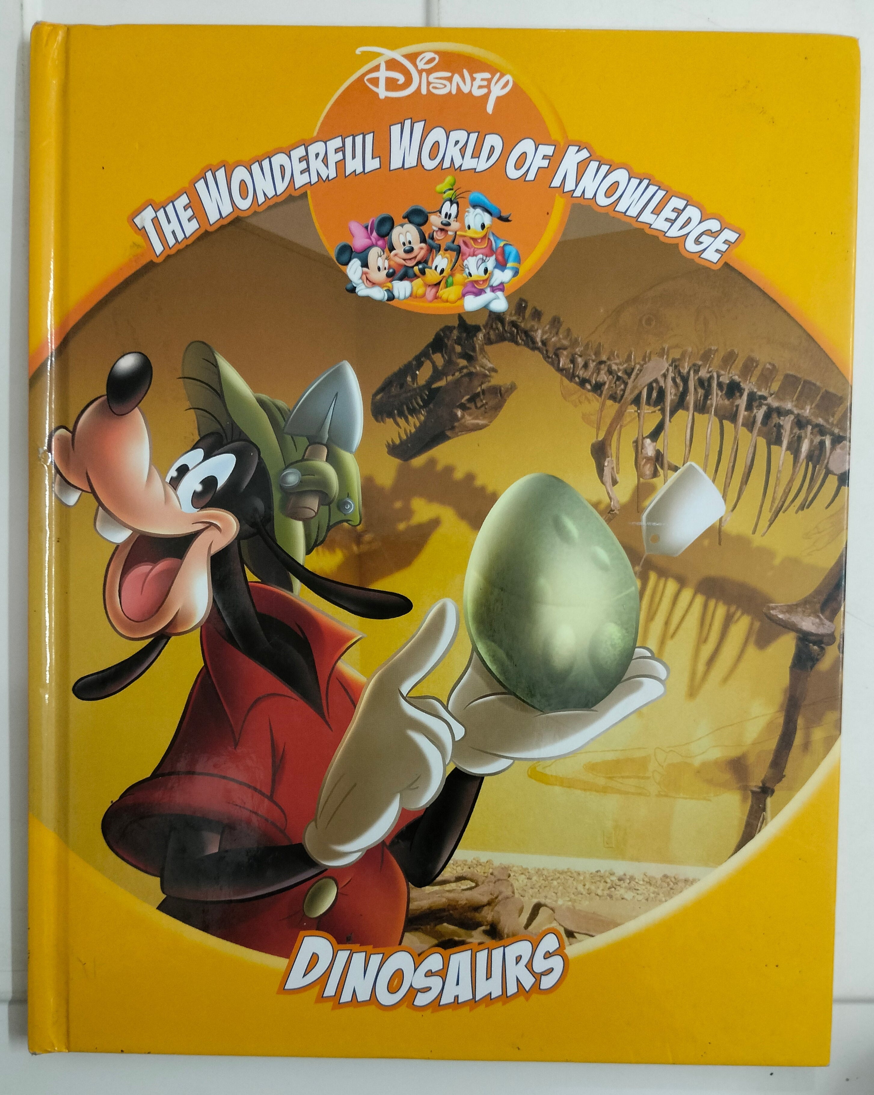 The Wonderful World of Knowledge