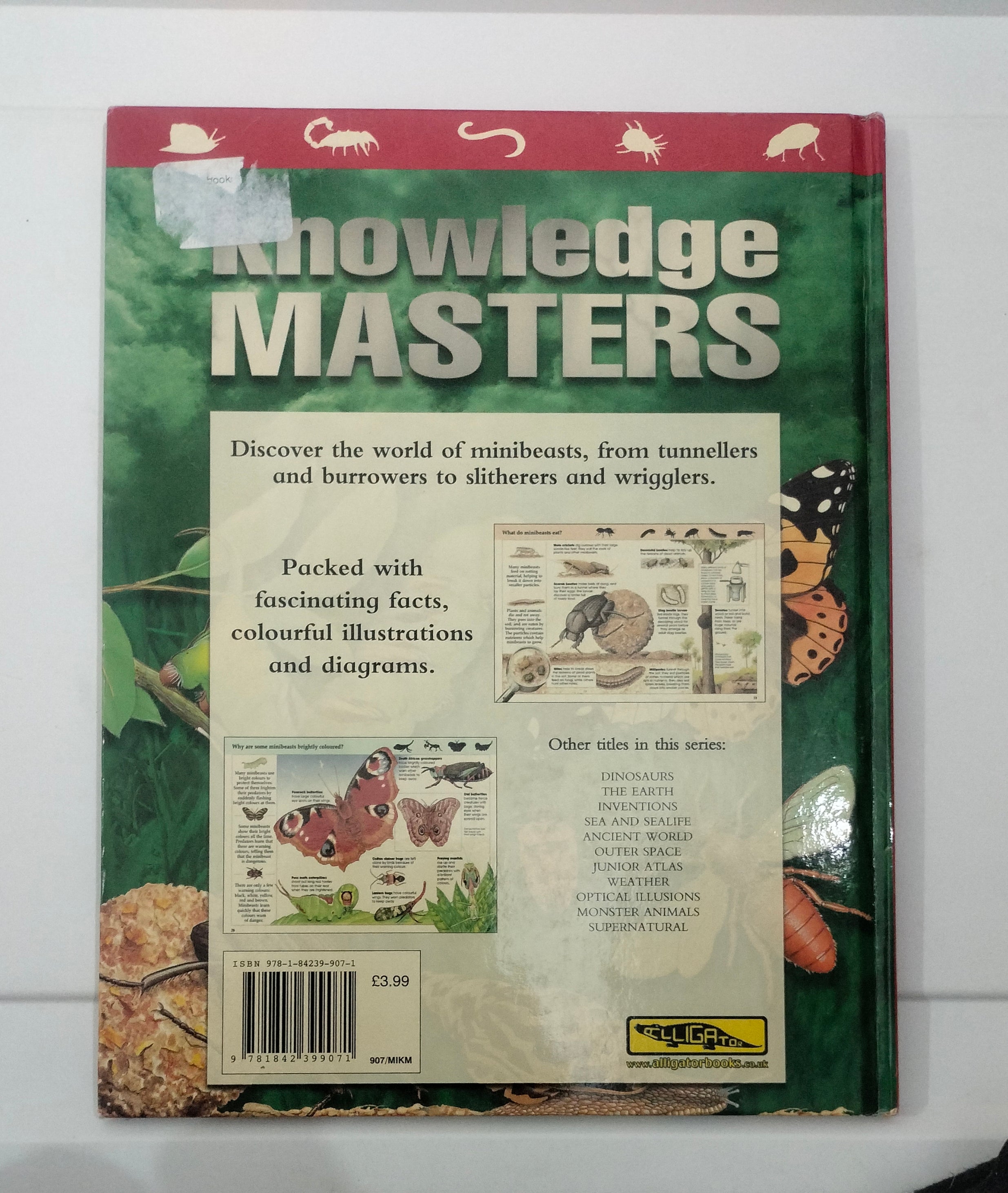 Knowledge Masters Minibeasts