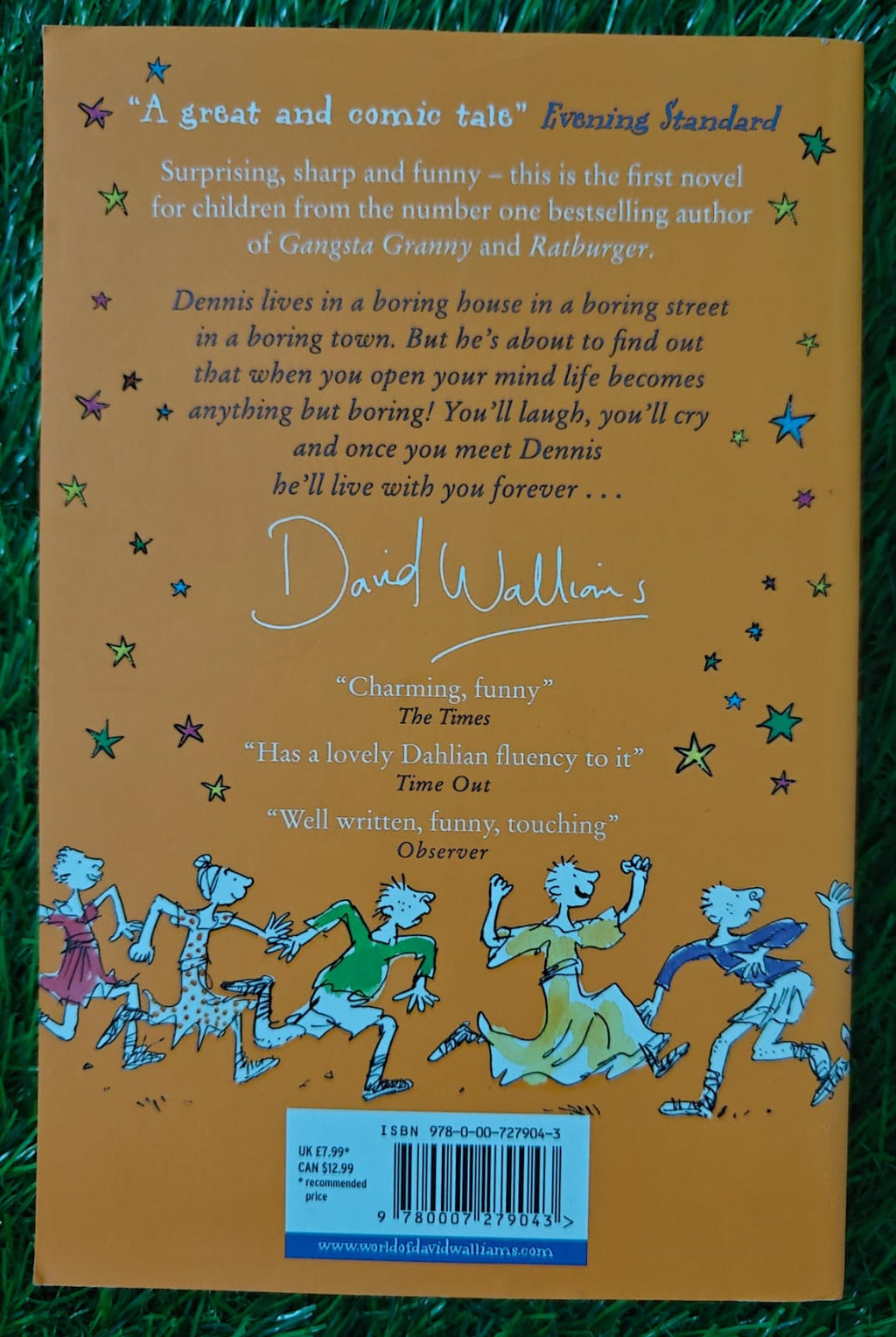 The Boy in the Dress