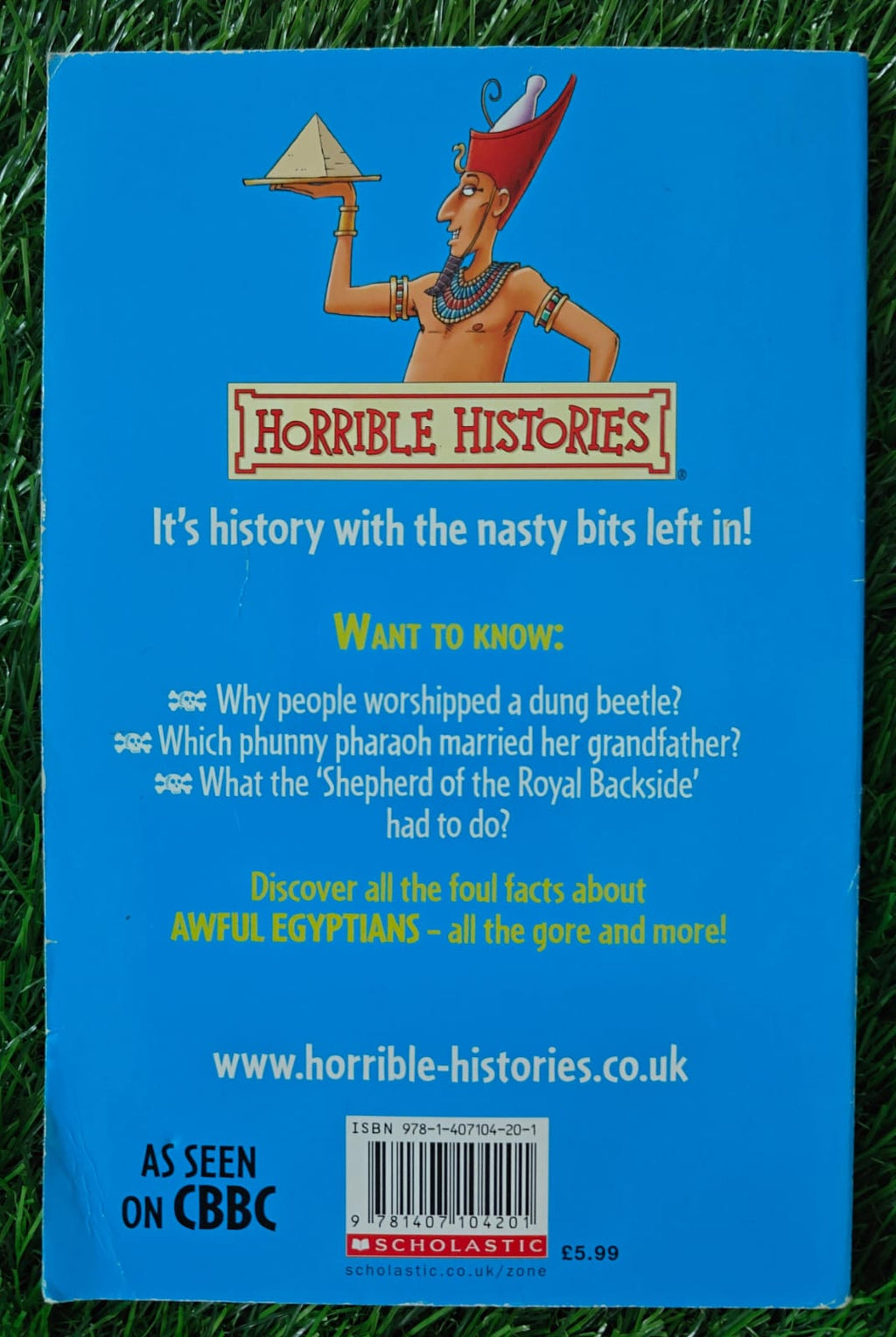 Awful Egyptians : Horrible Histories