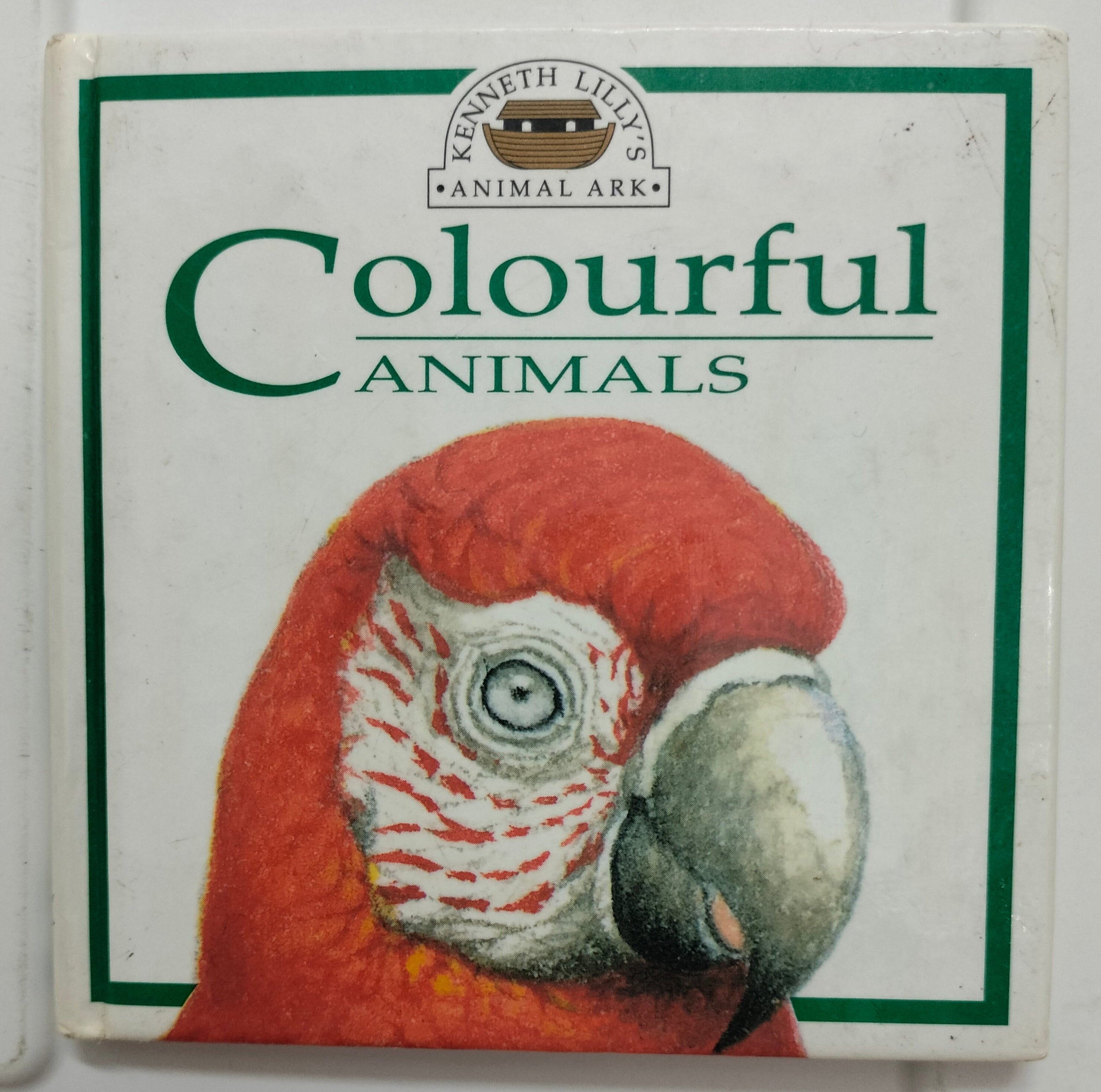 Colurful Animals