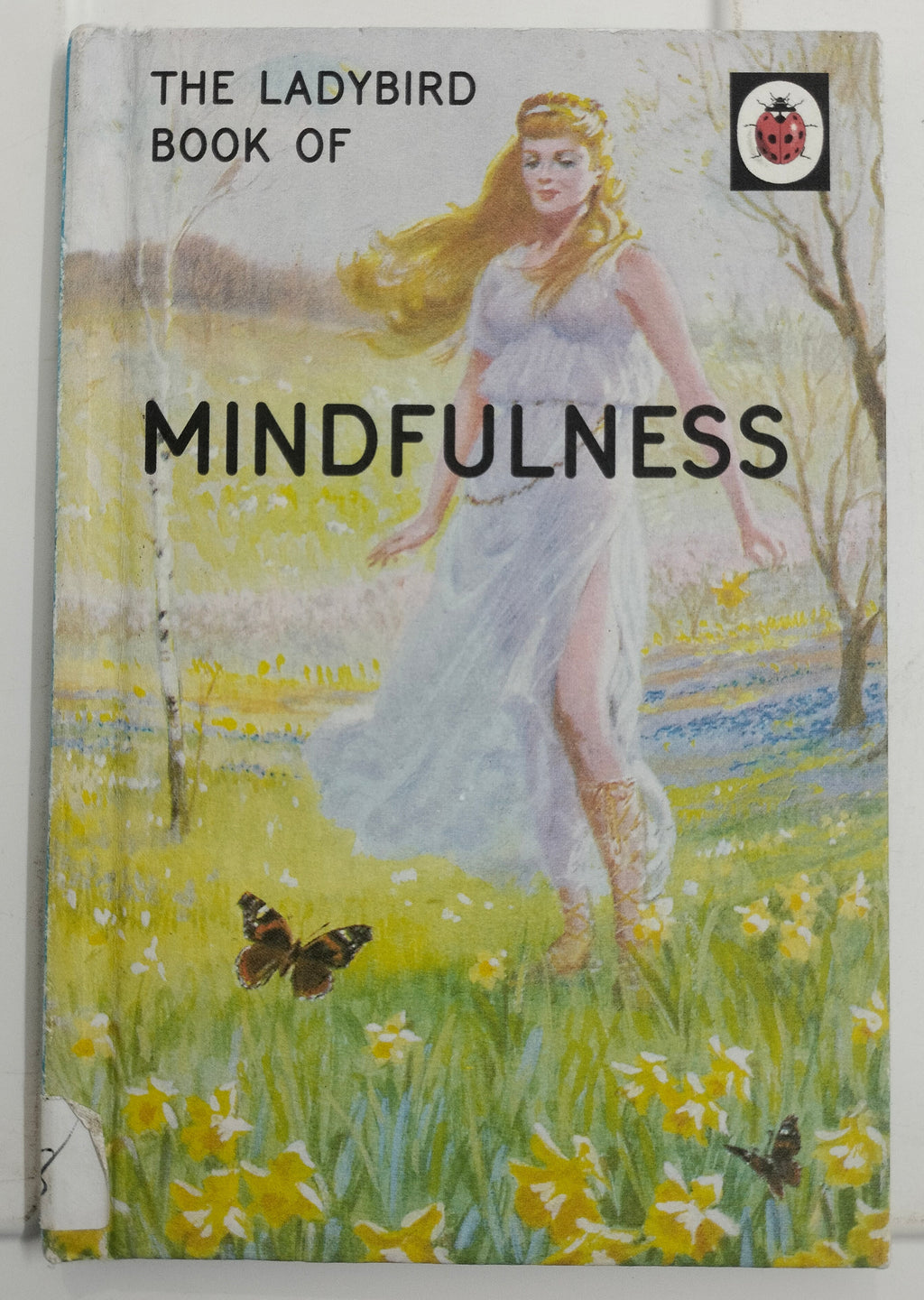 Mindfulness